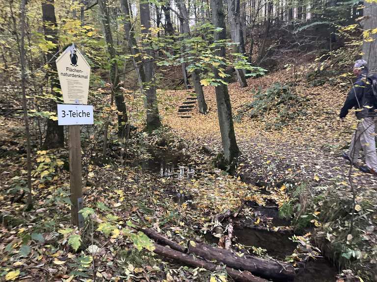 3 Teiche Wanderungen und Rundwege komoot