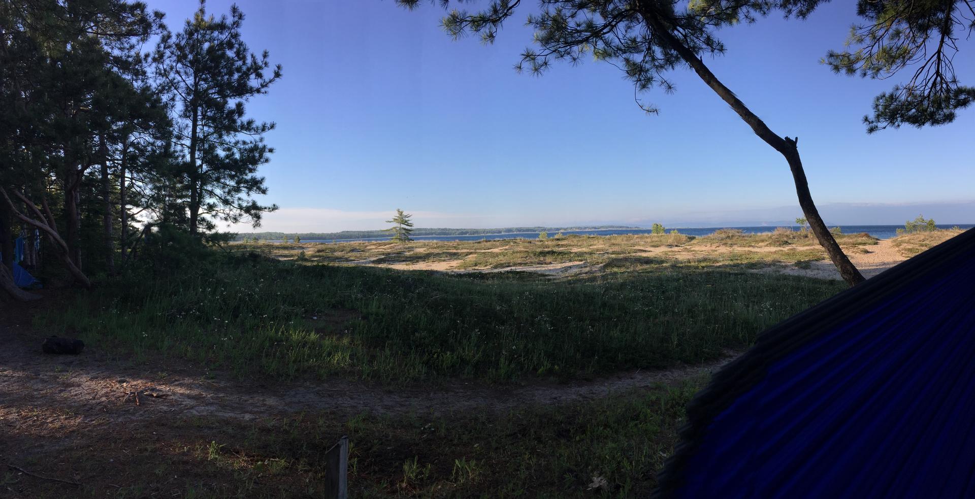 A blue tent in a grassy area overlooks a sandy beach and ocean.