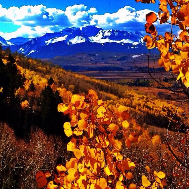 Vibrant autumn foliage frames snow-capped mountains under a bright blue sky. - Sneffels Highline Trail Loop