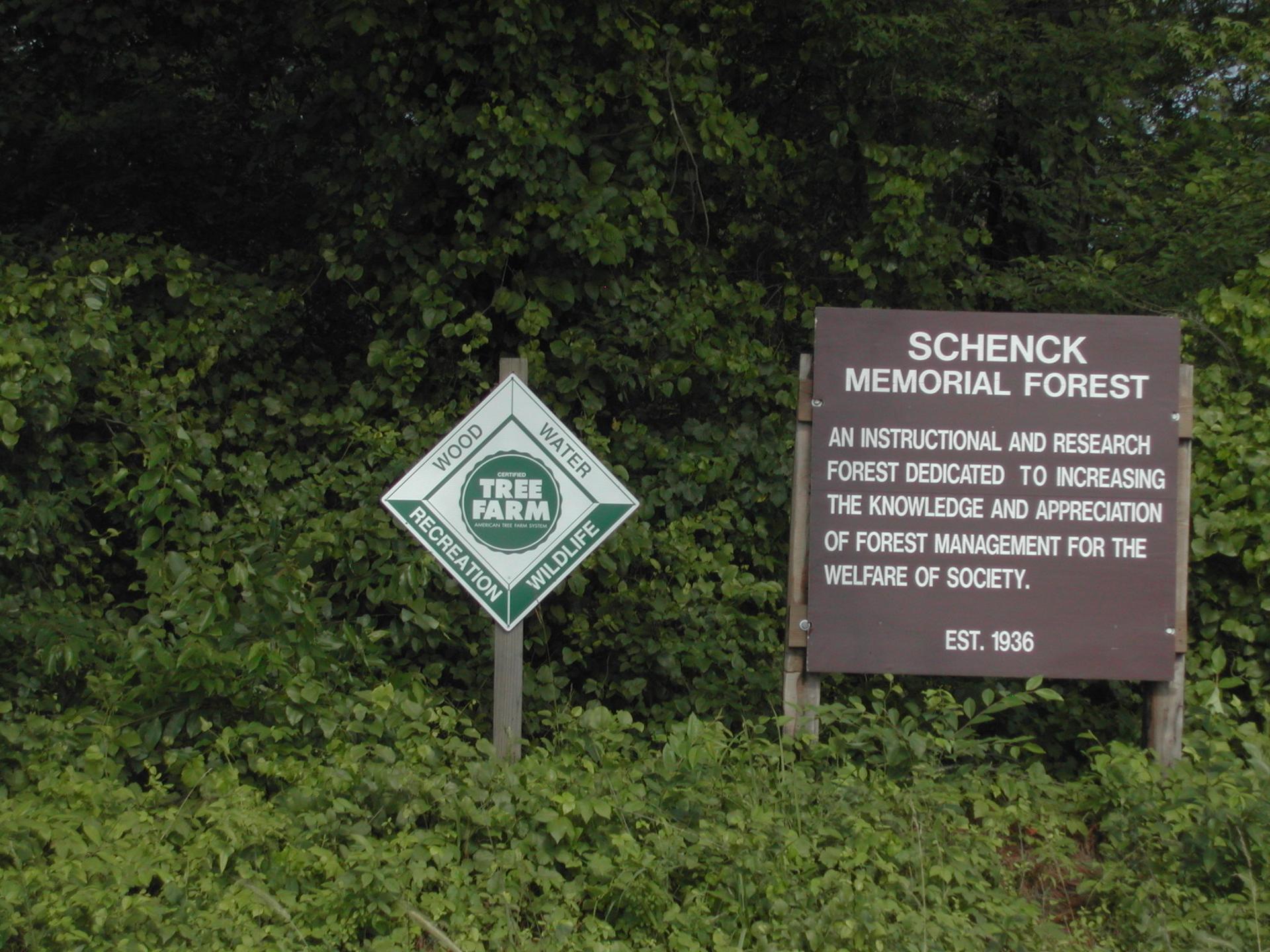 Two informational signs, one diamond-shaped, in dense green foliage under bright light.
