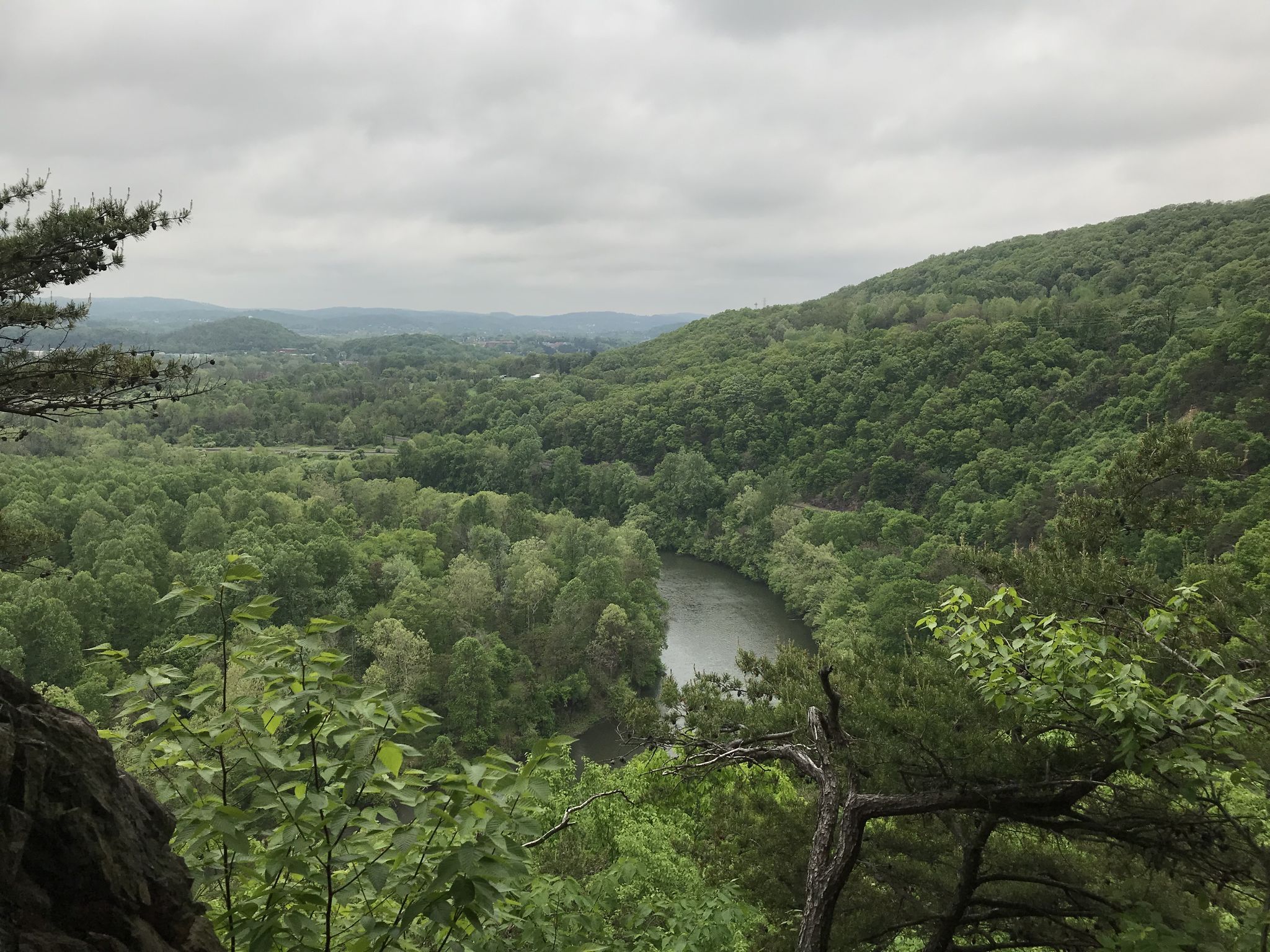 Wide river winding through dense green forest under an overcast sky. - Orange Loop