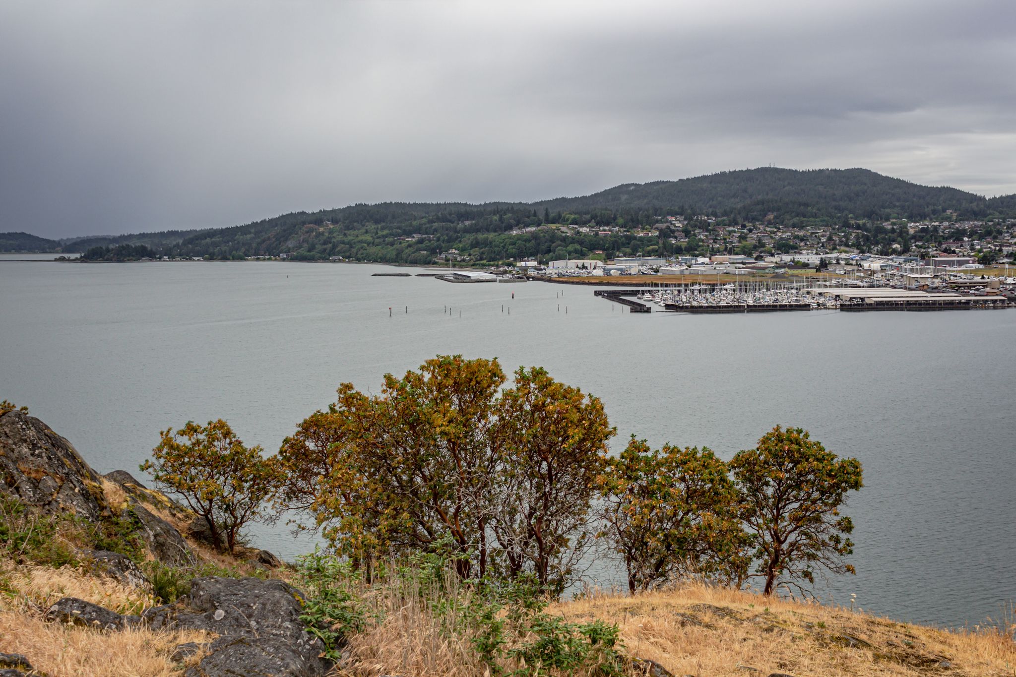 Overcast view of a coastal town, harbor, and hills from a rocky overlook. - Cranberry Lake & Cap Sante Park loop