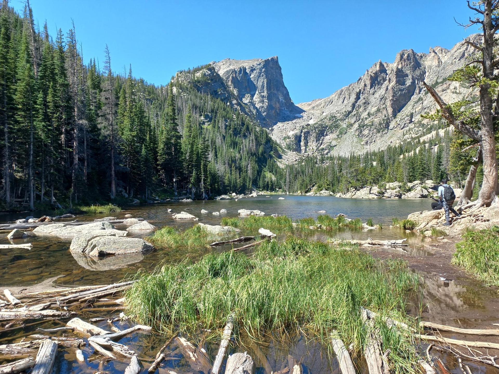 Person by a rocky lake, surrounded by mountains and dense forest in daylight.