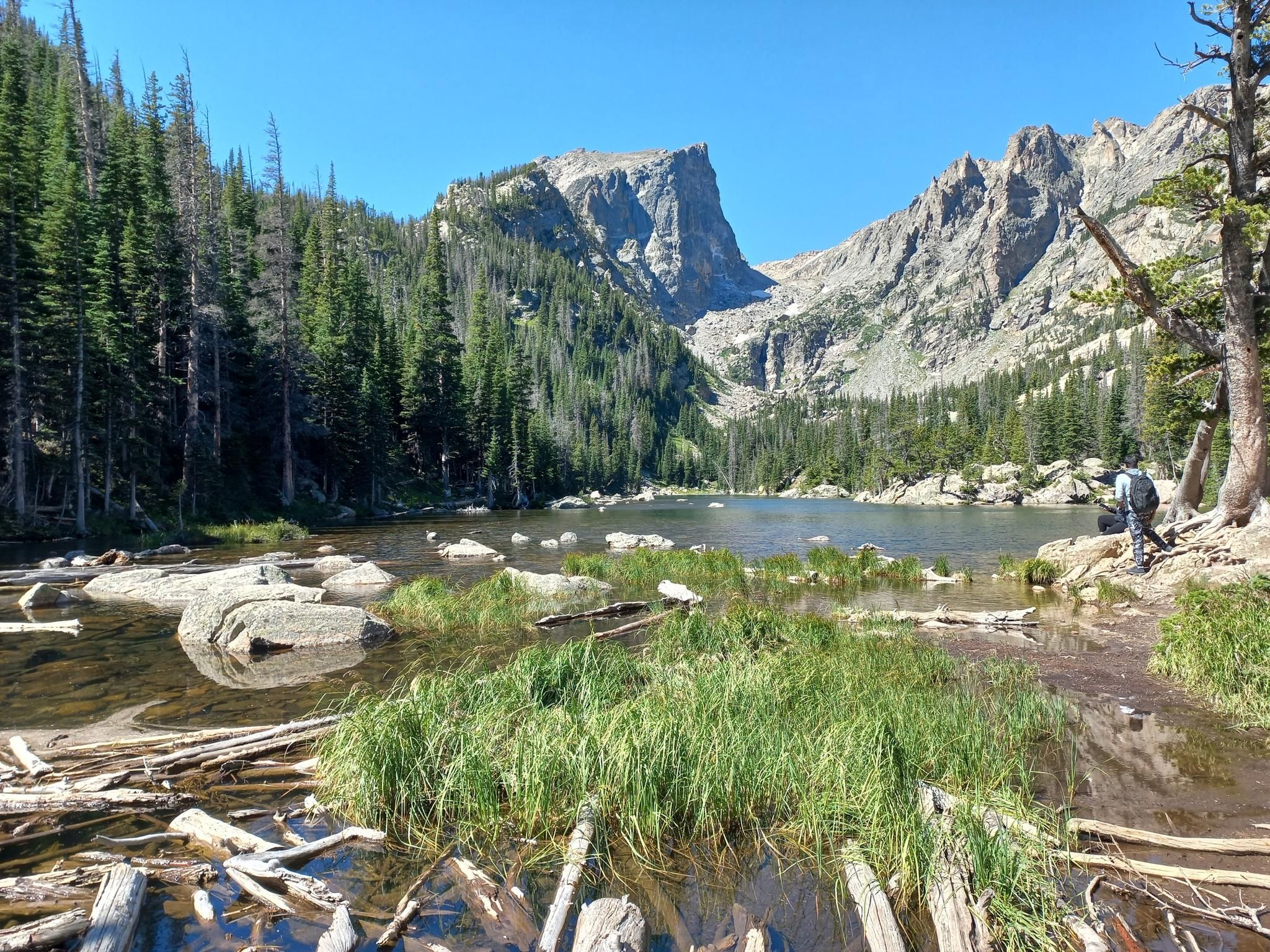 Person by a rocky lake, surrounded by mountains and dense forest in daylight. - Emerald Lake Trail