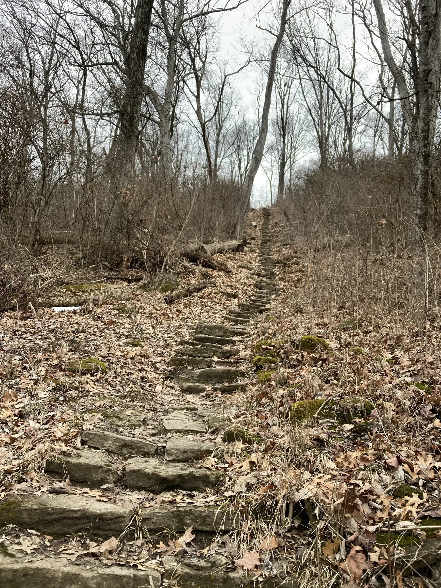A stone staircase ascends a wooded hill under an overcast sky.