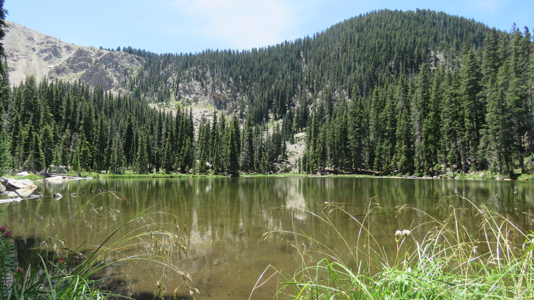 Serene mountain lake reflecting dense pine forest under a bright sky. - Nambe Lake Trail