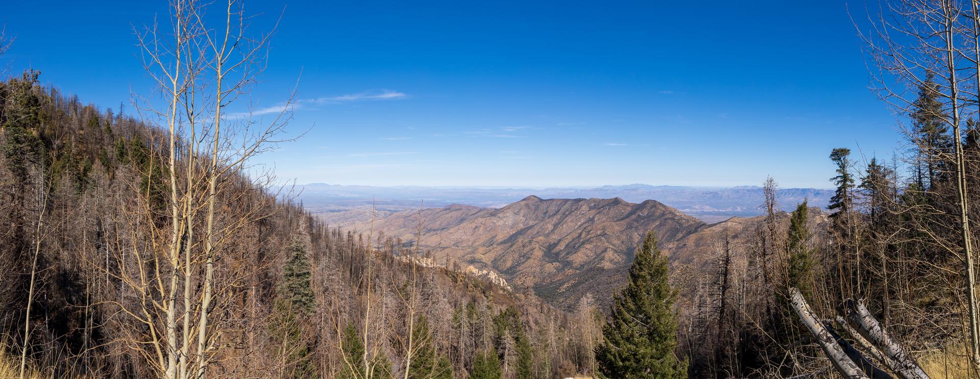 Wide view of a mountain valley with bare trees and distant peaks.