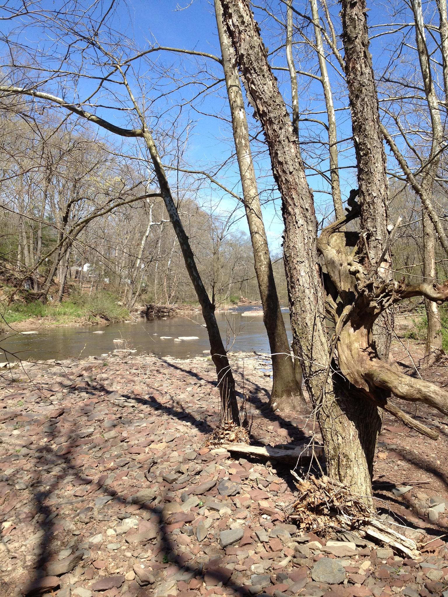 Bare trees stand on a rocky riverbank under a clear blue sky.