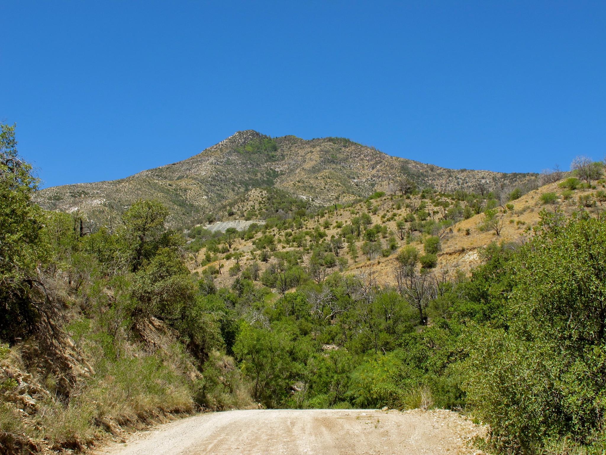 Dirt road leading into a lush green valley with a large mountain.