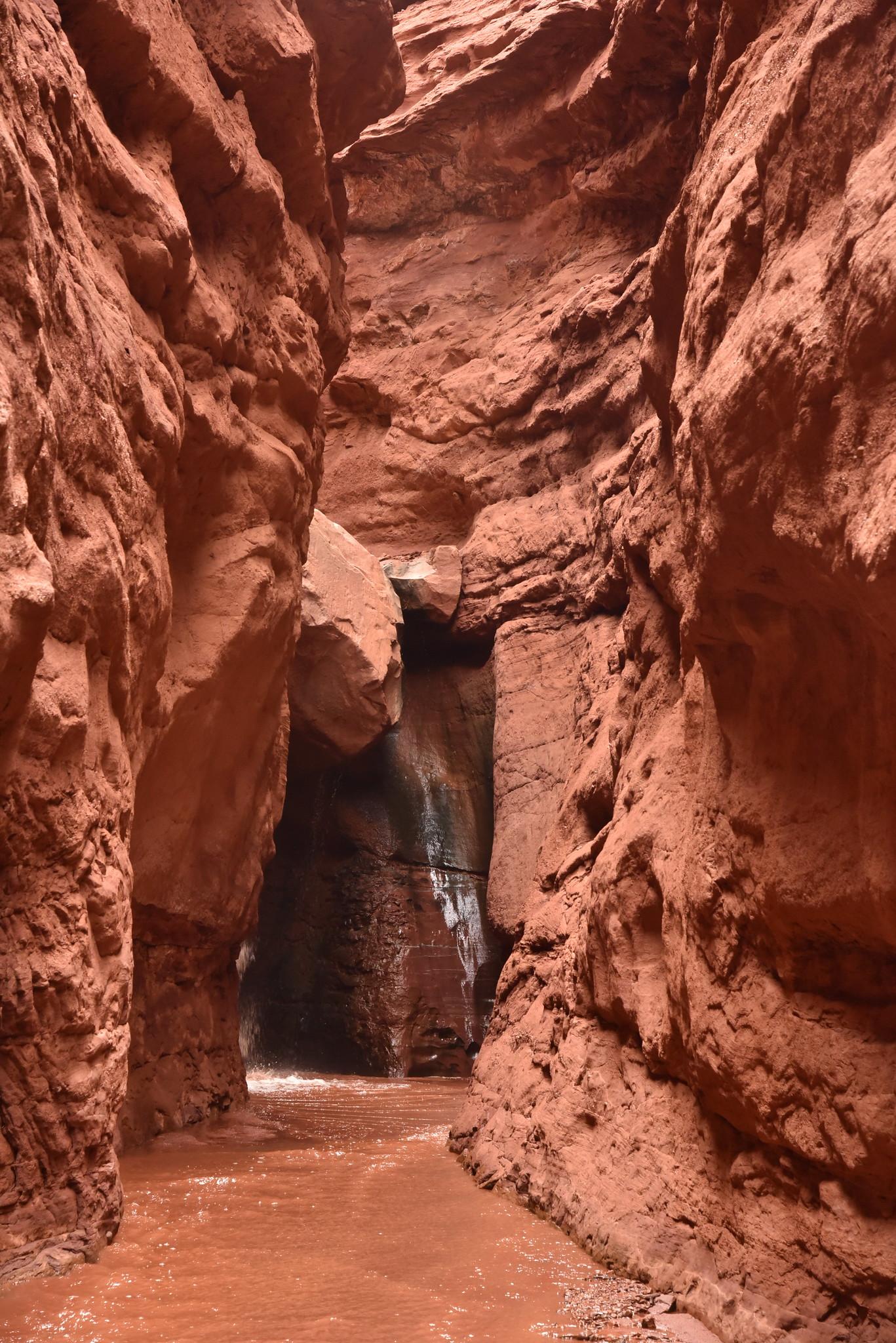 Dark, narrow red rock slot canyon with a muddy stream.