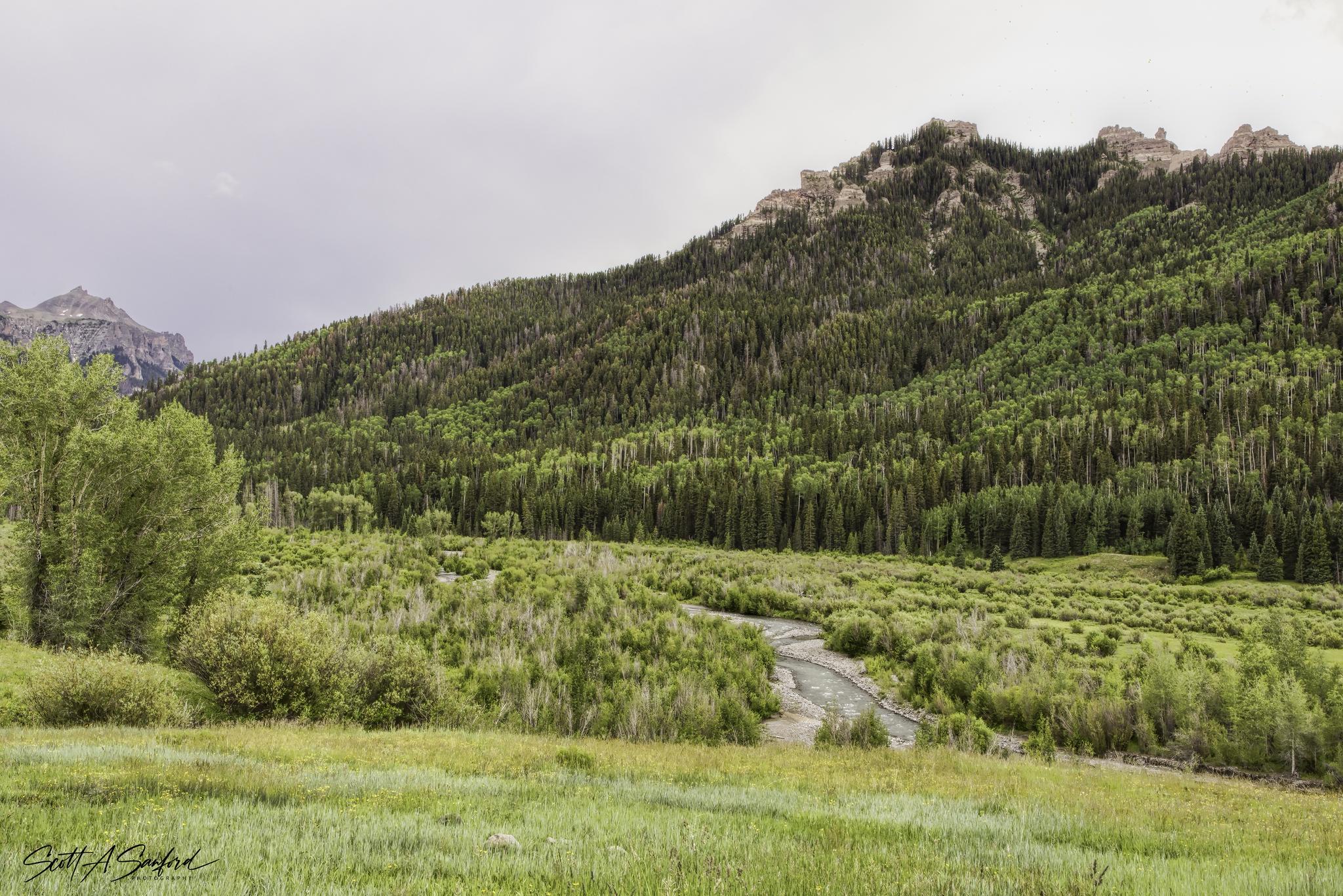 Lush green valley with a forested mountain and winding stream under an overcast sky.