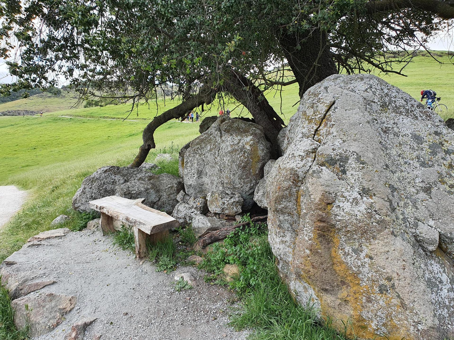 Wooden bench by large rocks and a tree on a grassy hill.