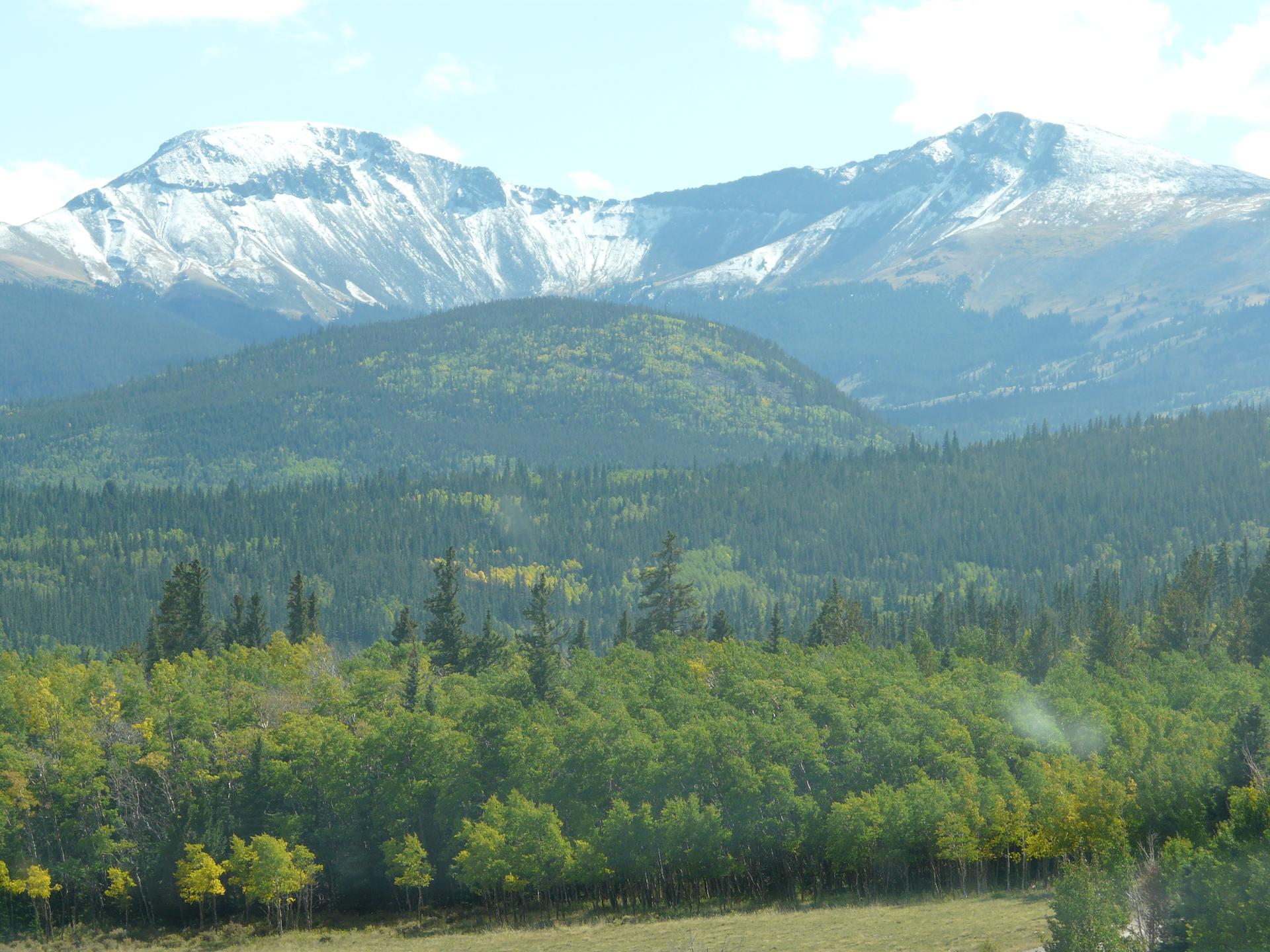 Majestic snow-capped mountains rise above vast green forests under a clear sky.