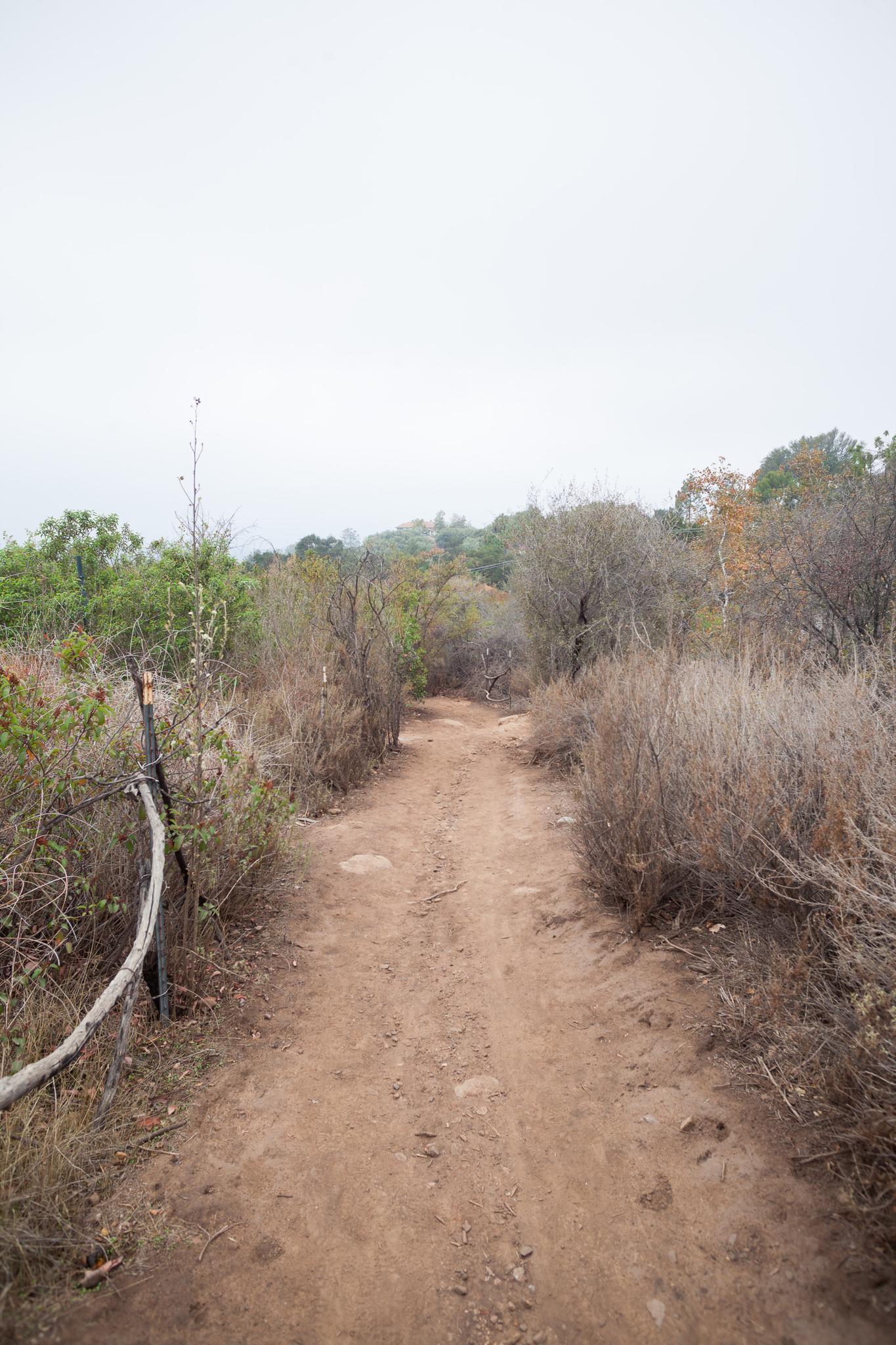 A dirt path winds through dry brush under an overcast sky.