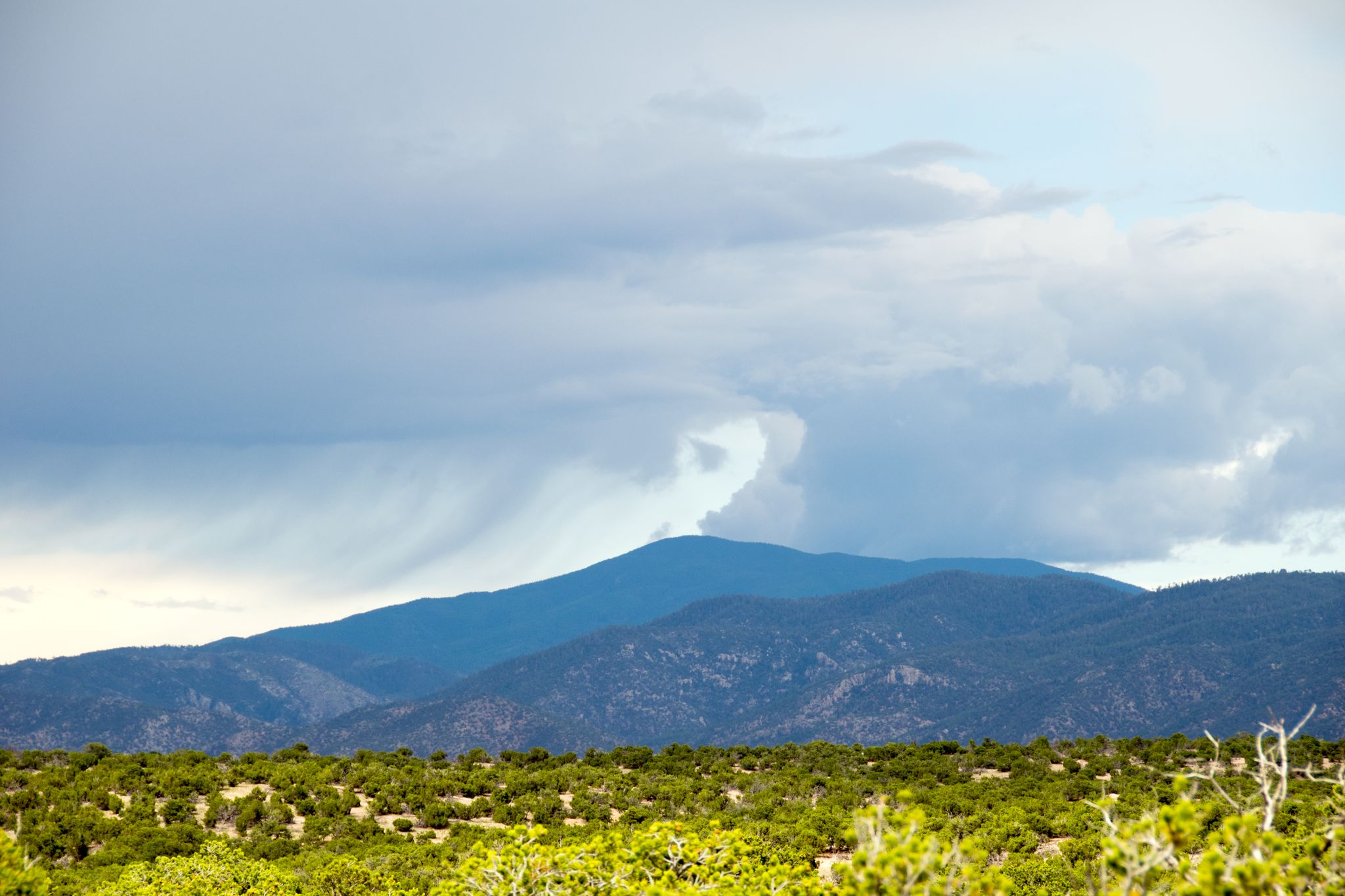 Dark mountains under a dramatic, cloudy sky with green shrubs in foreground. - La Tierra Trails Loop via Frijoles Trailhead