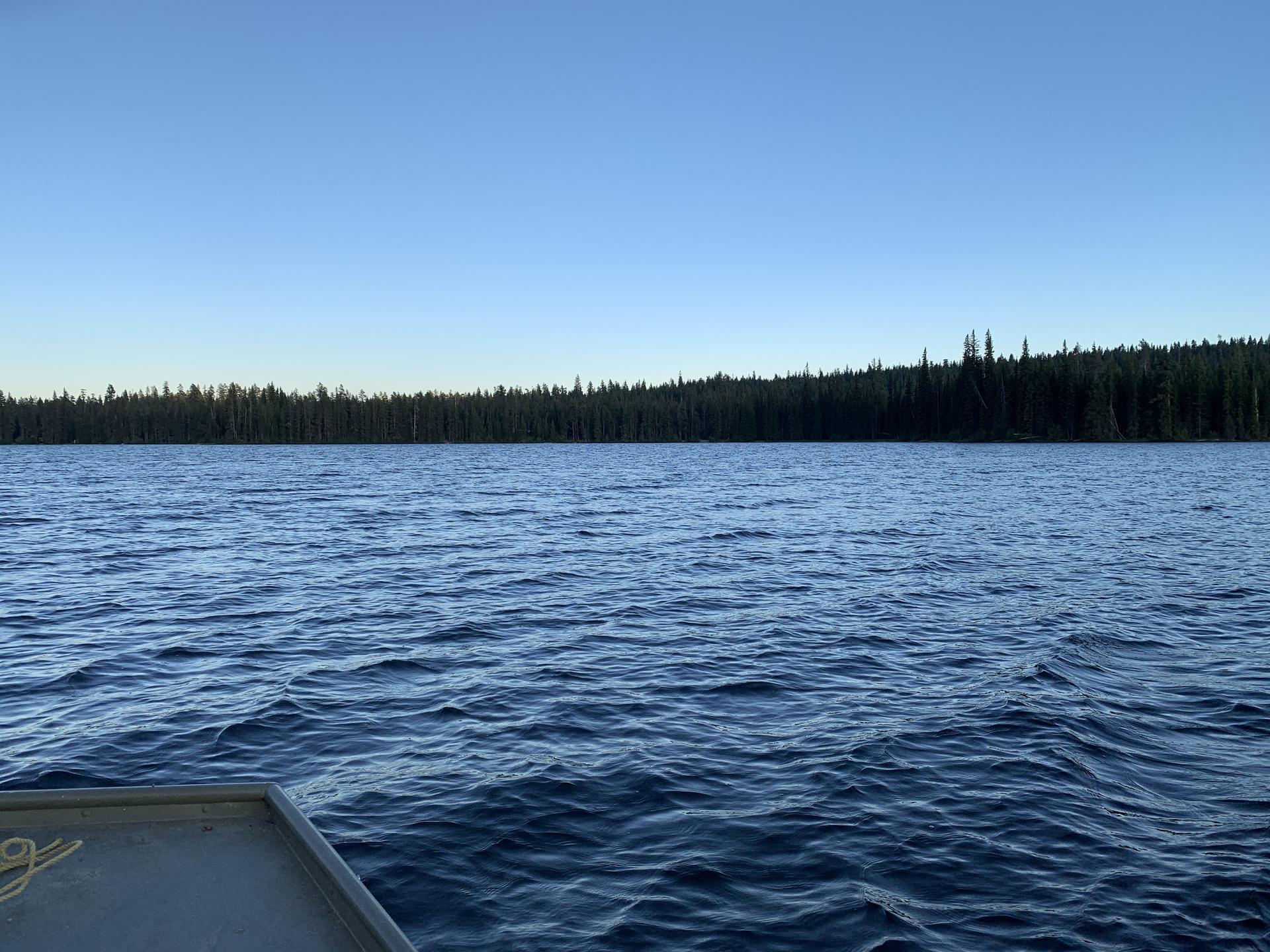 Boating on a calm lake with a distant evergreen forest under clear blue sky.