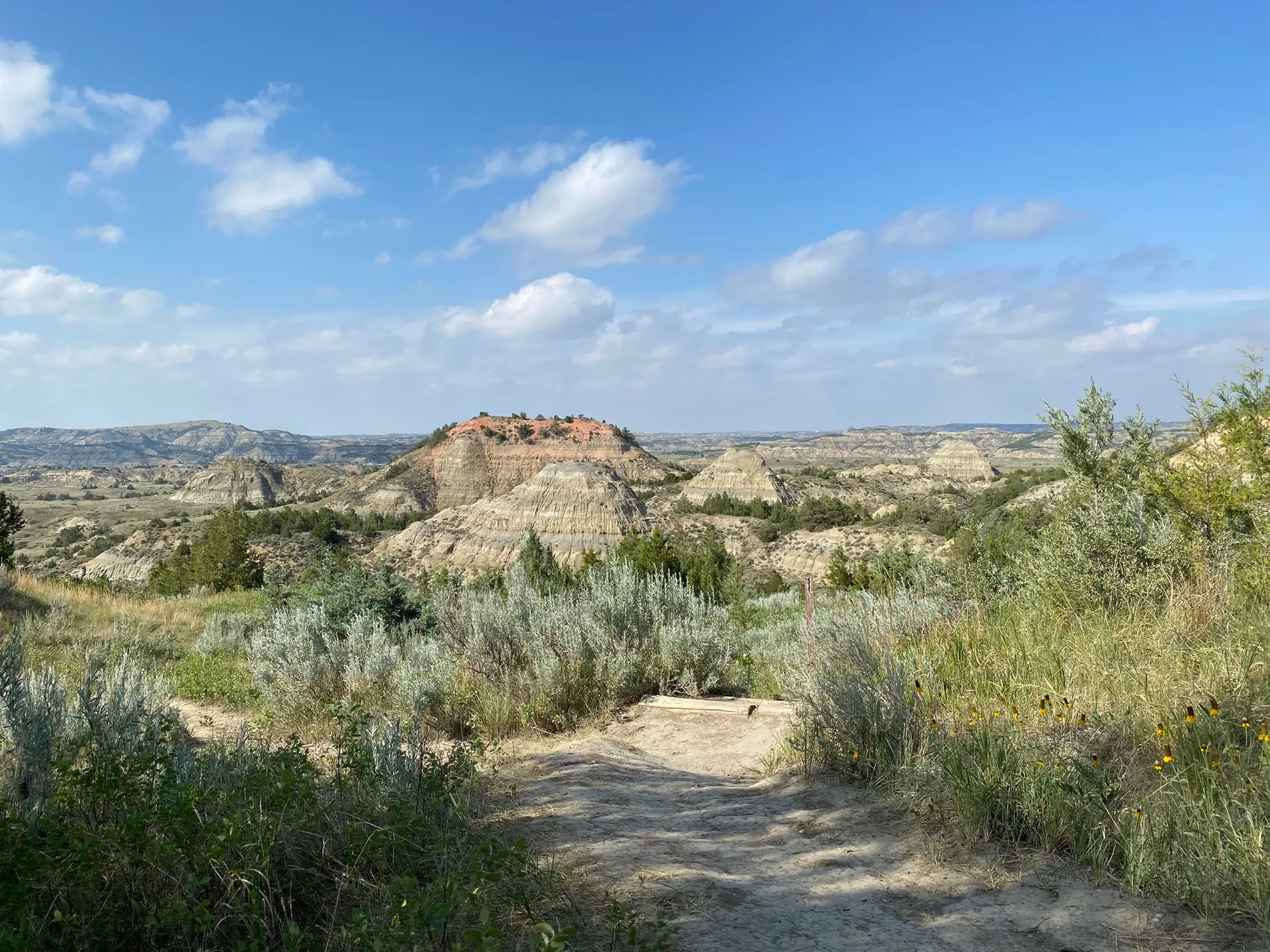 Vast arid landscape with light-colored hills, green bushes, and a dirt path under a blue sky.