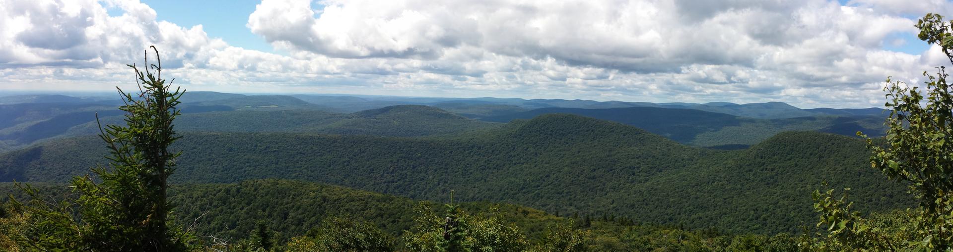 Panoramic view of vast green forested mountains under a cloudy sky.