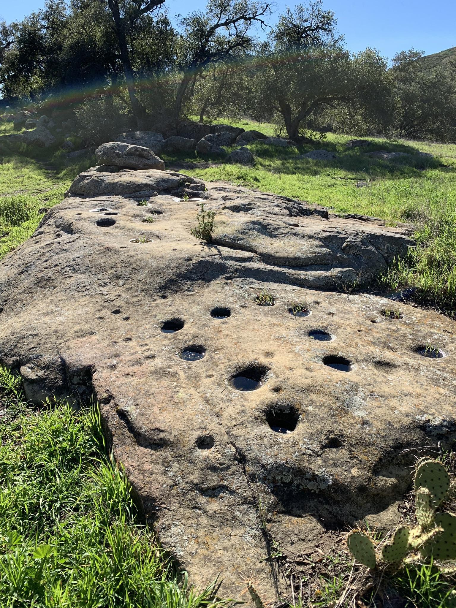 Large rock with many holes in a sunny grassy field with trees.