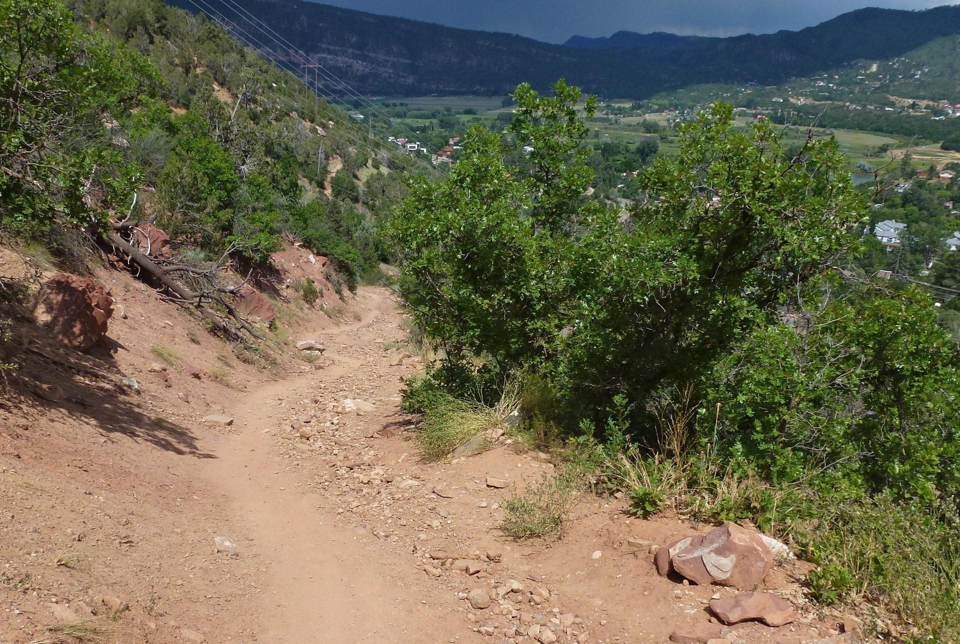 Dirt trail descending a green hillside overlooking a valley with distant mountains.