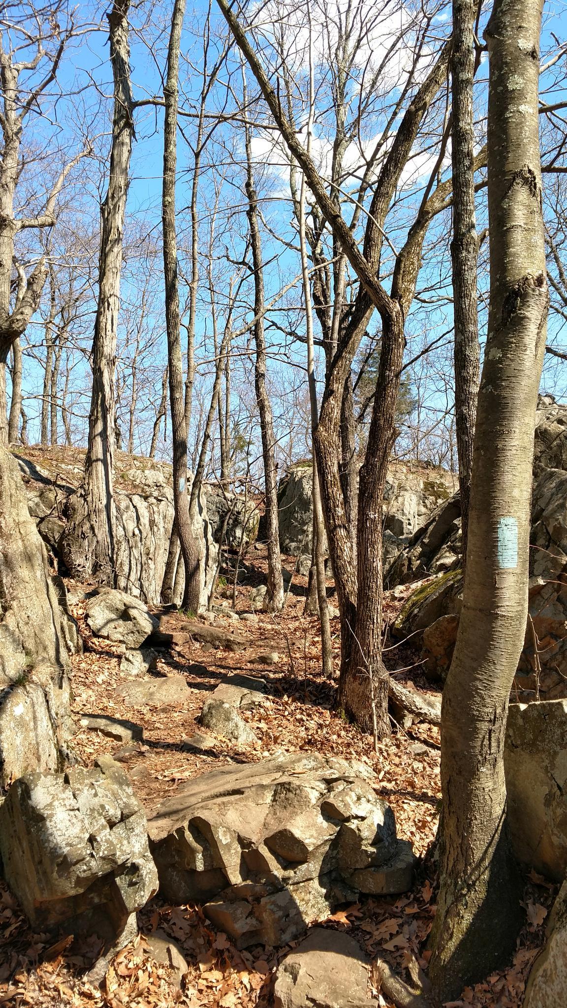 Sunlit forest path with bare trees, large rocks, and a blue trail blaze.