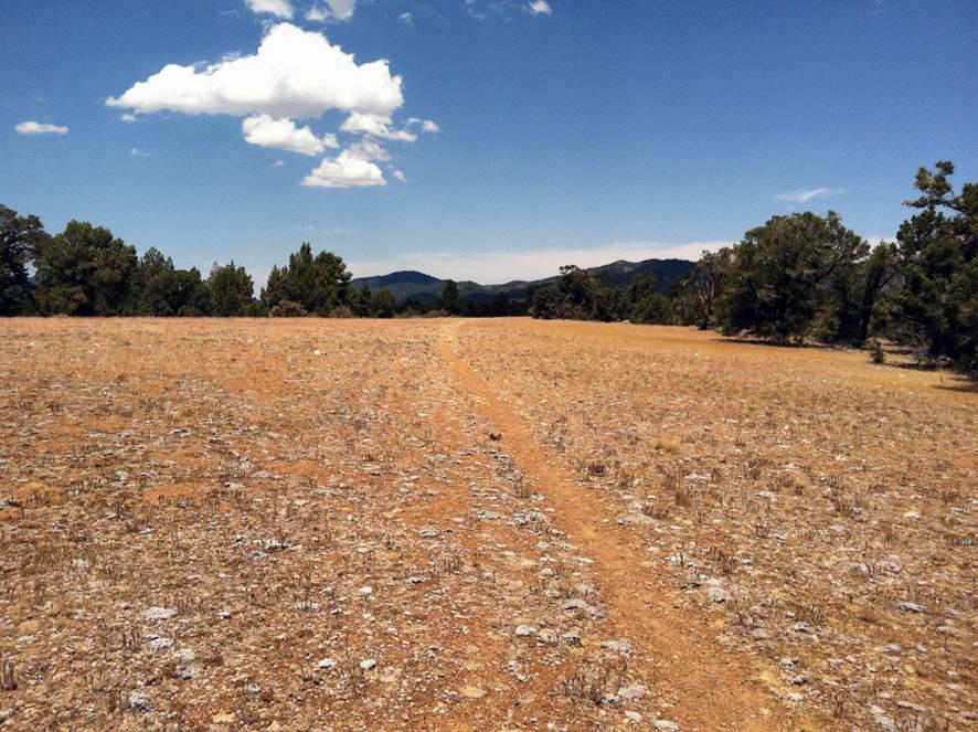 Dirt path through a dry, grassy field under a bright blue sky.