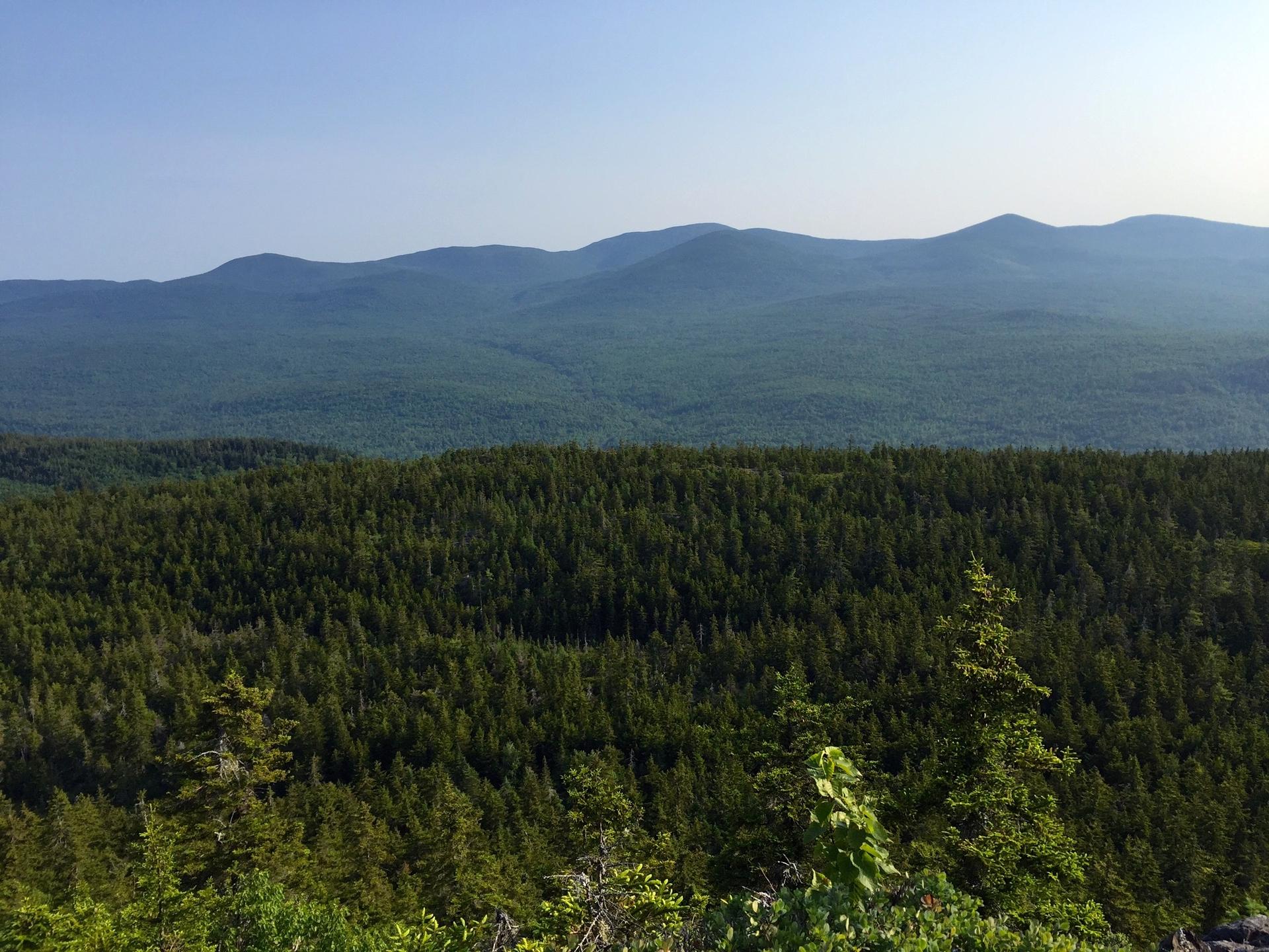 Expansive view of dense green forests and distant mountain peaks under a clear sky.