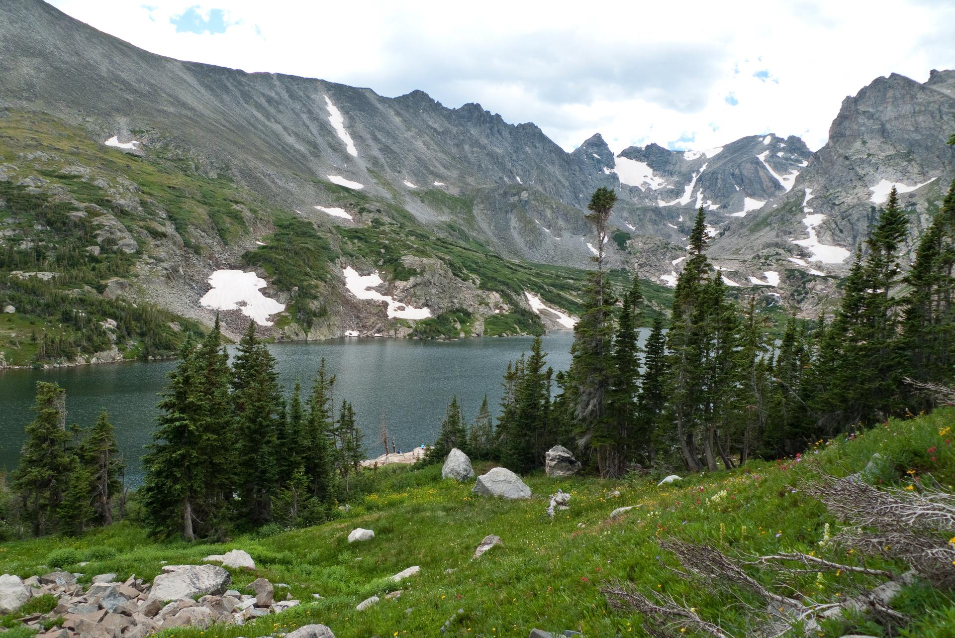 Mountain lake surrounded by pine trees, green grass, and snowy peaks.