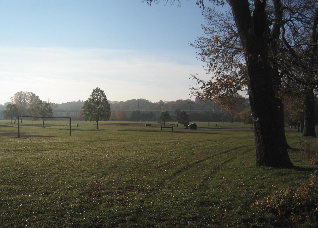 Expansive green field with soccer goals and scattered trees under a hazy sky.