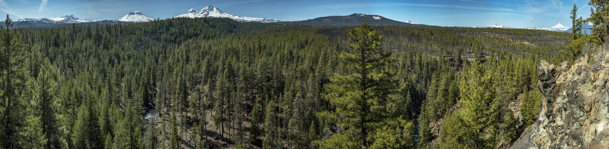 Panoramic view of a vast pine forest with distant snow-capped mountains under a clear sky. - Whychus Creek Overlook Trail