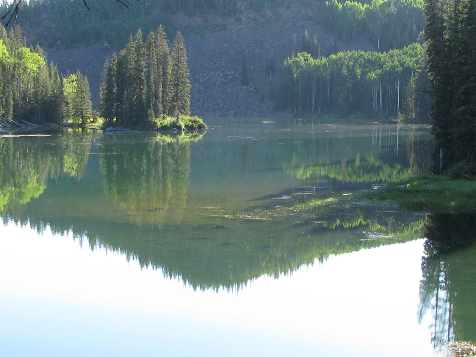 Calm lake perfectly reflecting forested shores and a small tree-covered island.