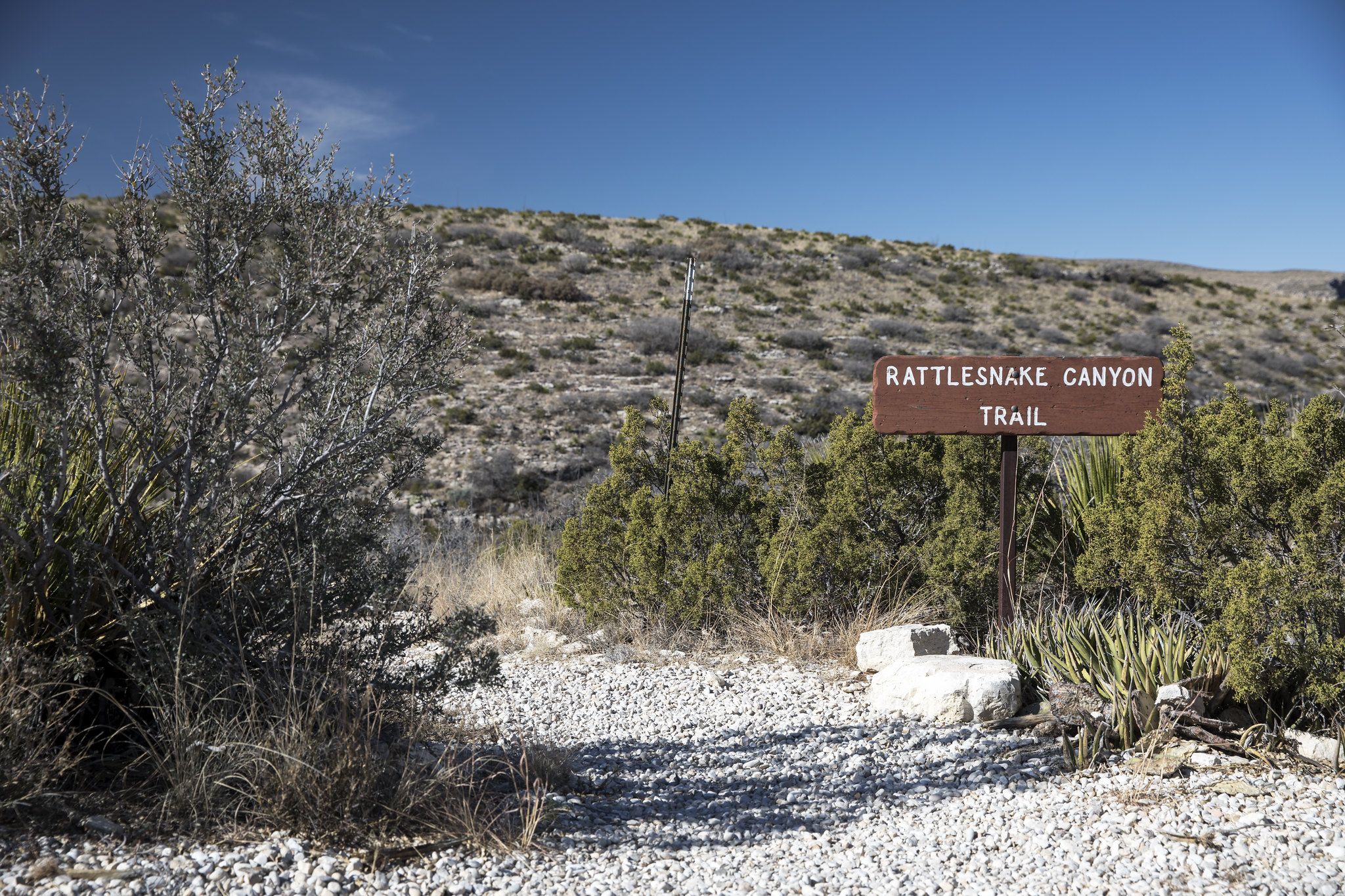 Gravel trail entrance with a sign and dry, scrubby vegetation under a clear sky. - Upper Rattlesnake Canyon to Guadalupe Ridge Loop