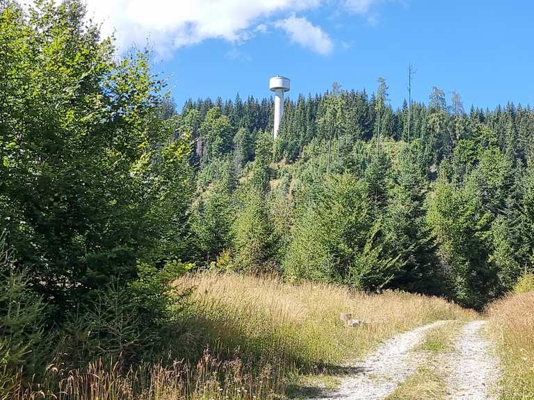 Wetterkreuz MountainbikeTouren und Trails komoot