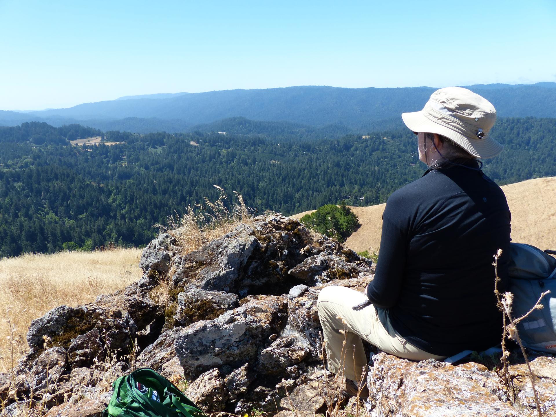A person sits on rocks, looking out at a vast, sunny forested landscape.