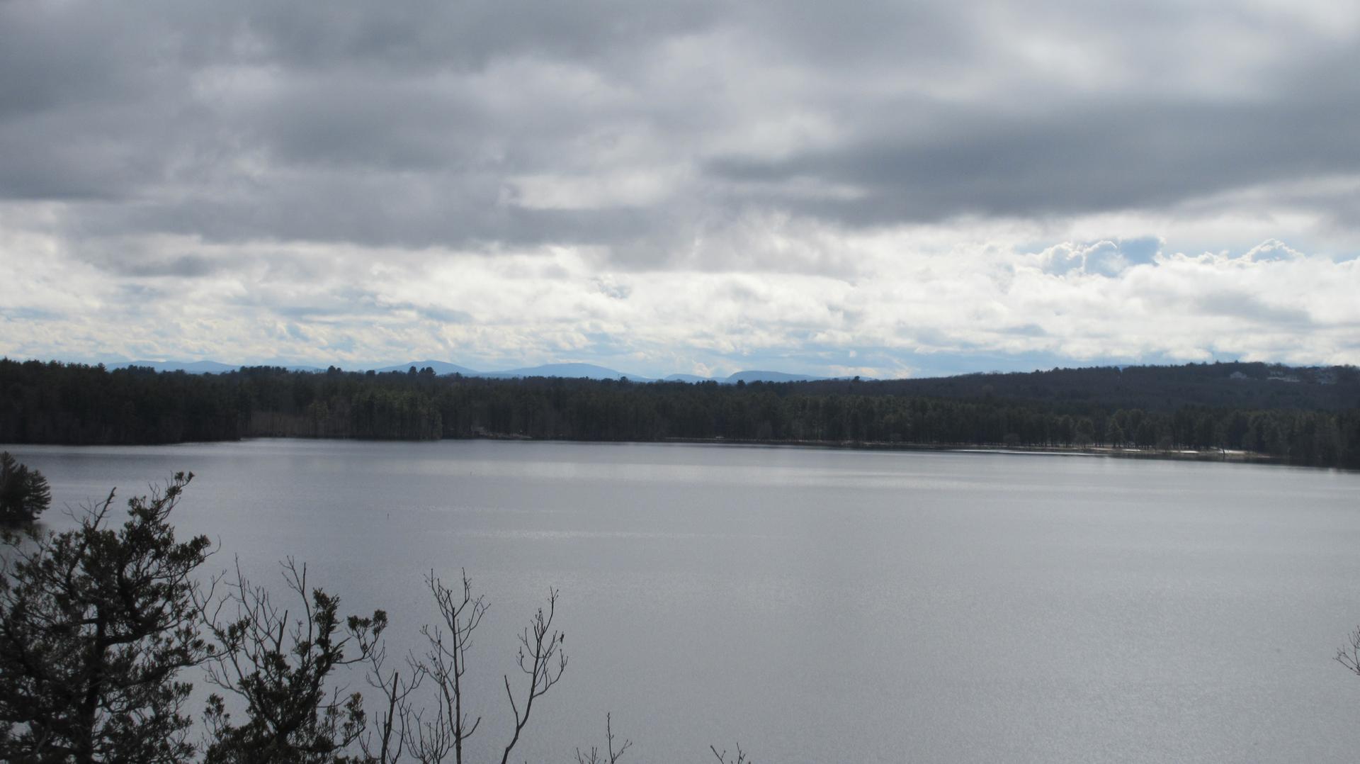 Wide view of a large lake surrounded by forests under a cloudy sky.