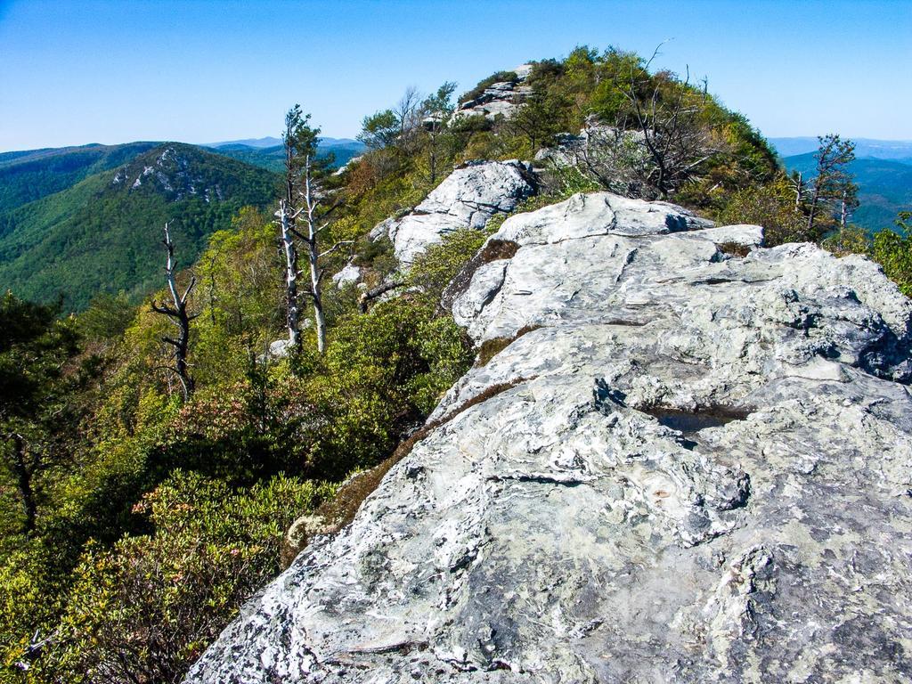 Sunny view of a rugged, rocky mountain ridge with green foliage.