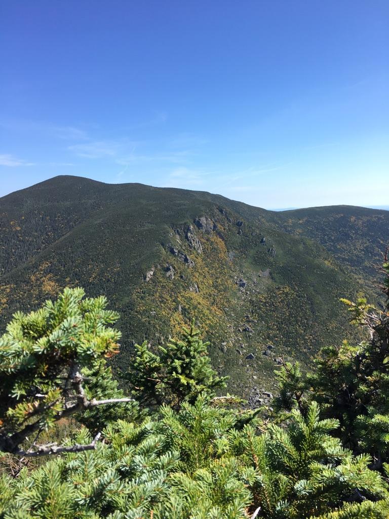 Sunny view of a rocky mountain slope with green and yellow trees.