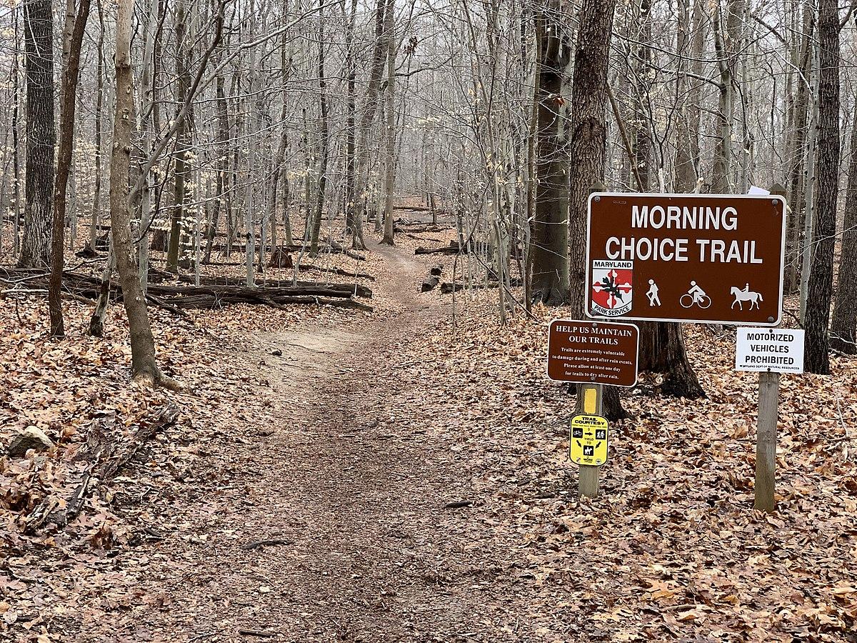 Dirt trail through a forest with bare trees and a brown sign.