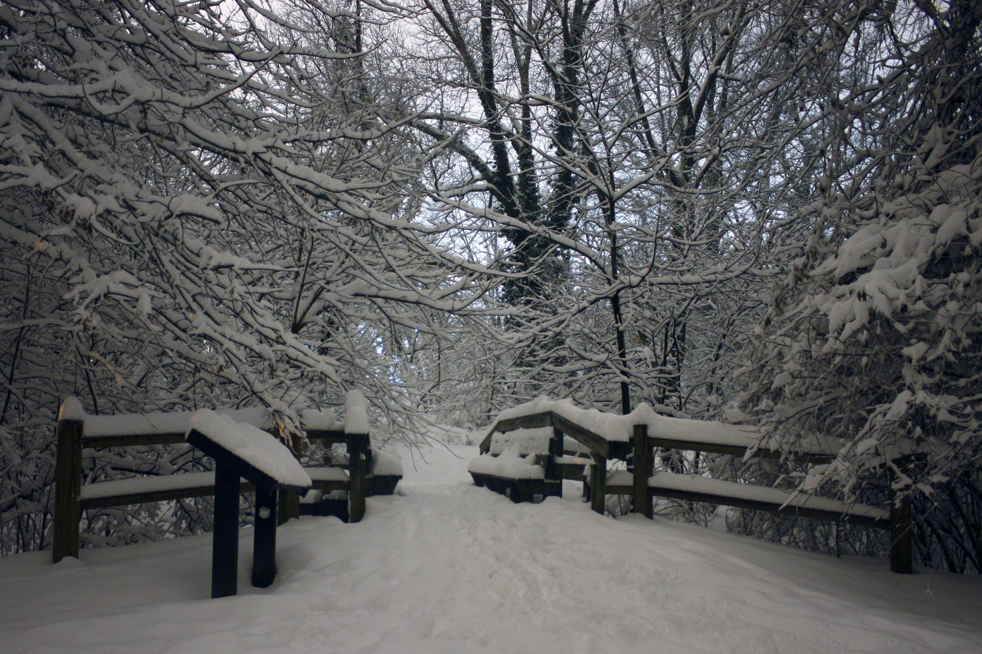 A snow-covered path leads into a winter forest with wooden fences.
