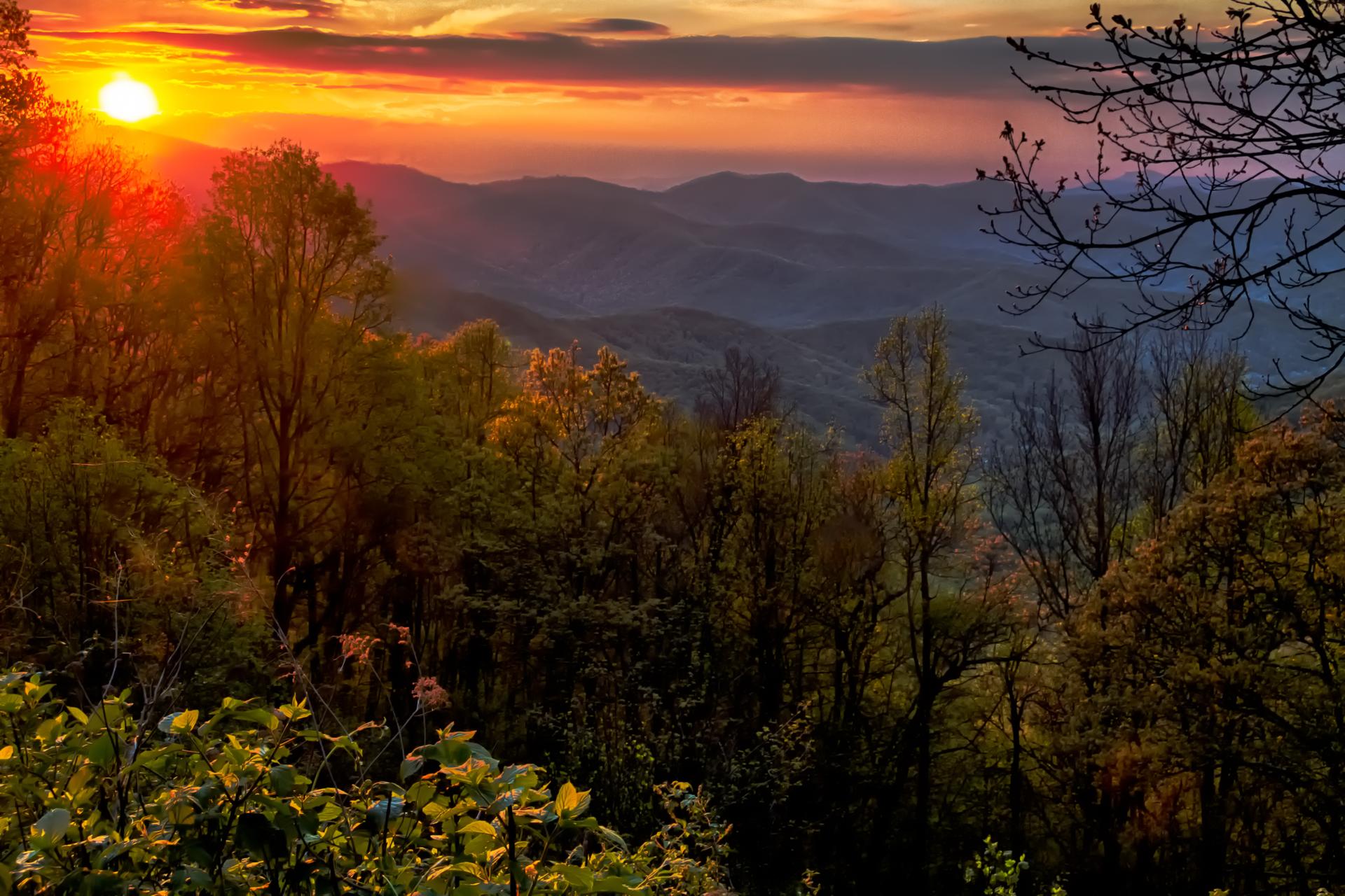 Golden sunset over forested mountains, casting warm light on trees.