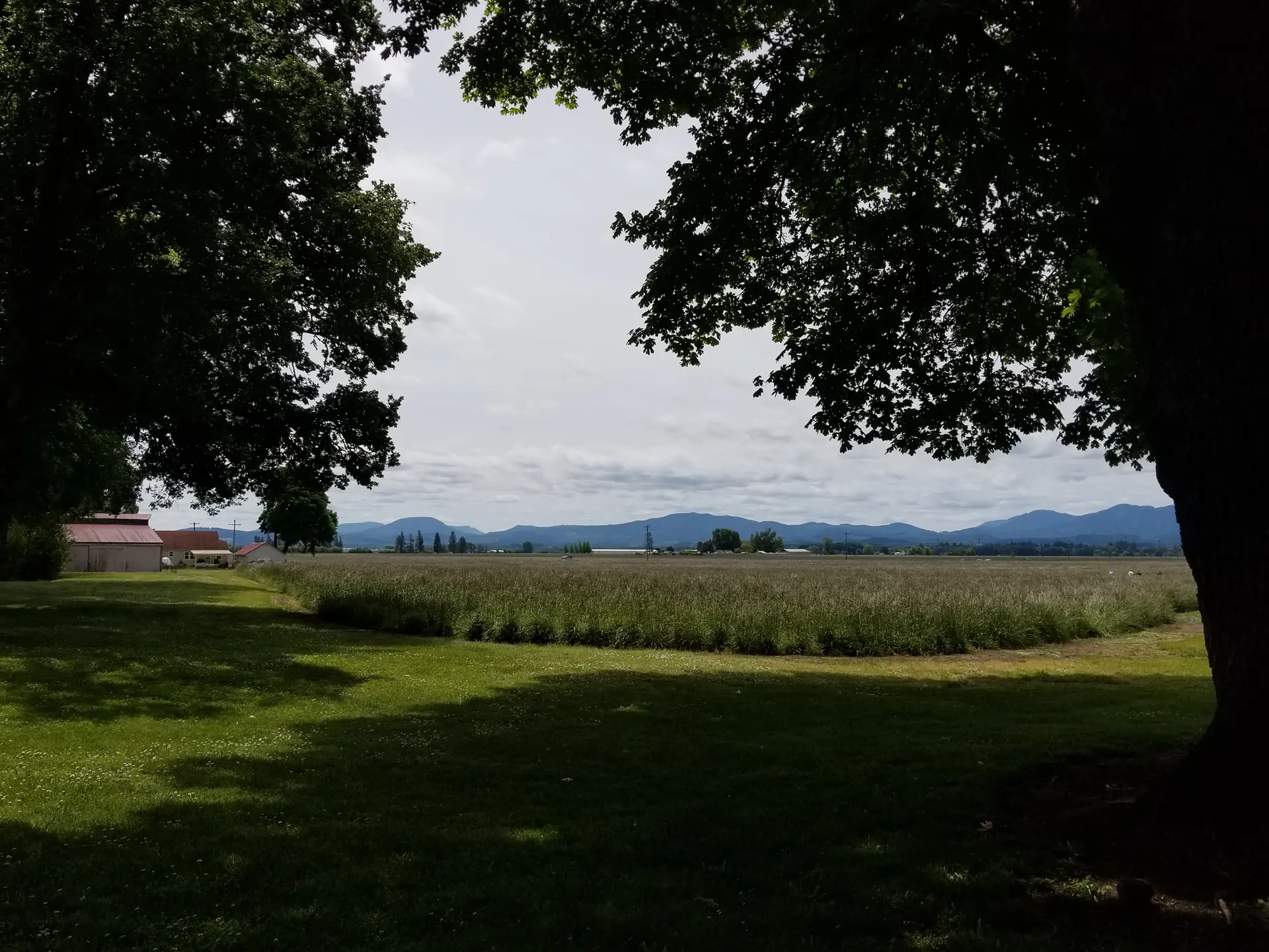 Green field extends to distant mountains, framed by dark trees under an overcast sky.