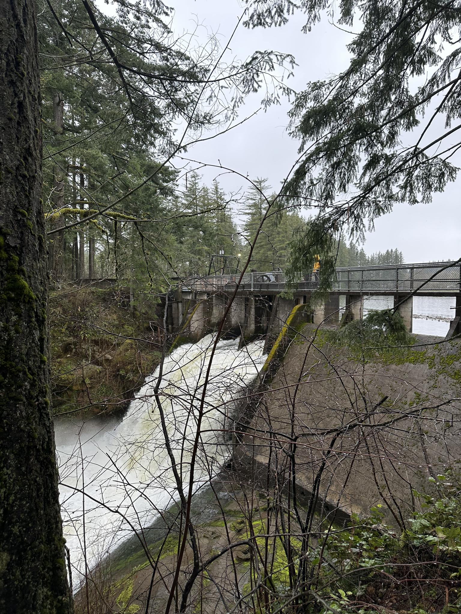 A dam with rushing white water, a bridge, and dense forest on an overcast day.