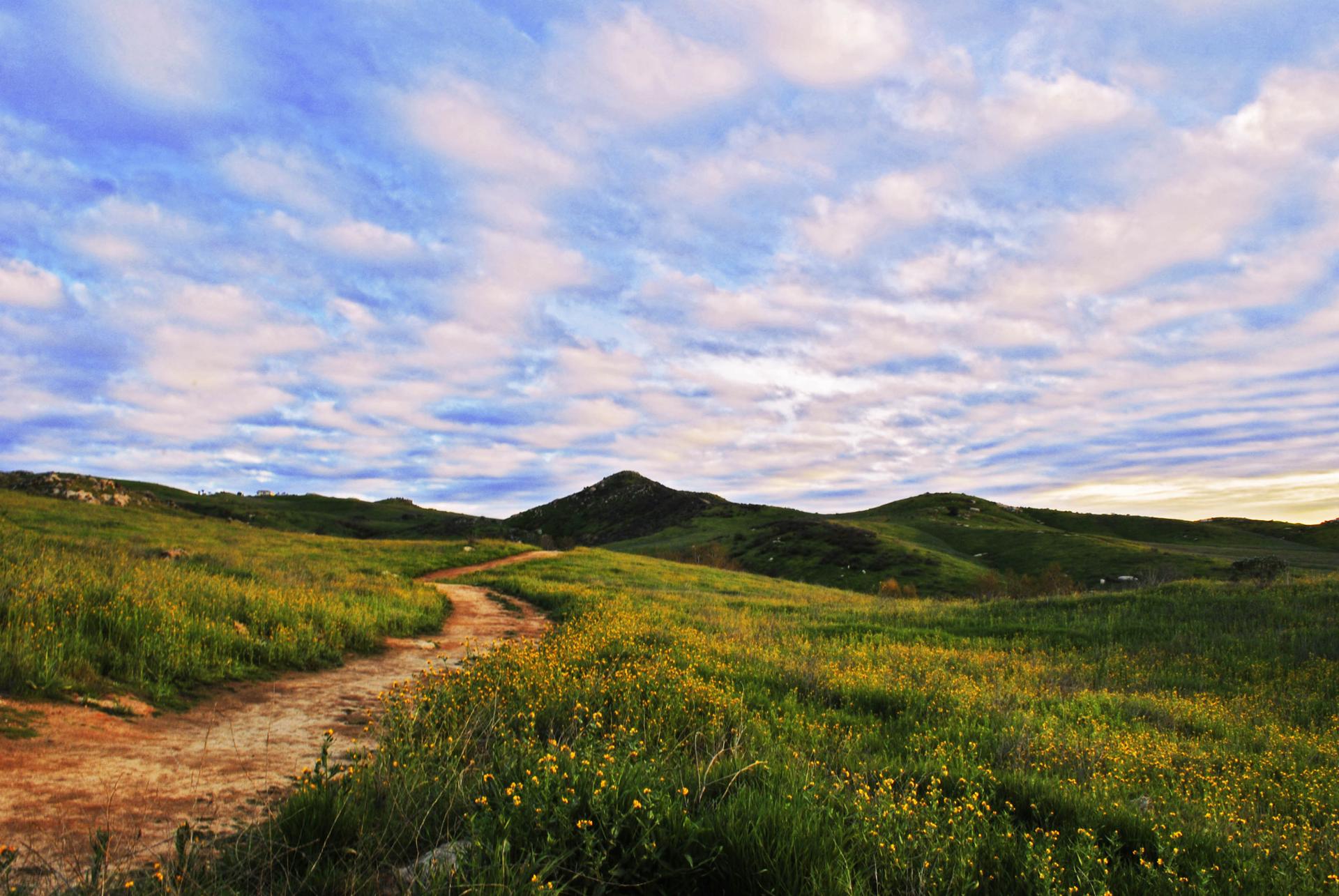A winding dirt path through green, wildflower-dotted hills under a cloudy sky.