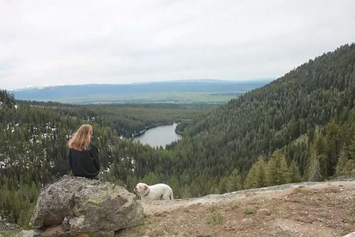 Woman and dog sit on a rock overlooking a vast forested valley and lake.