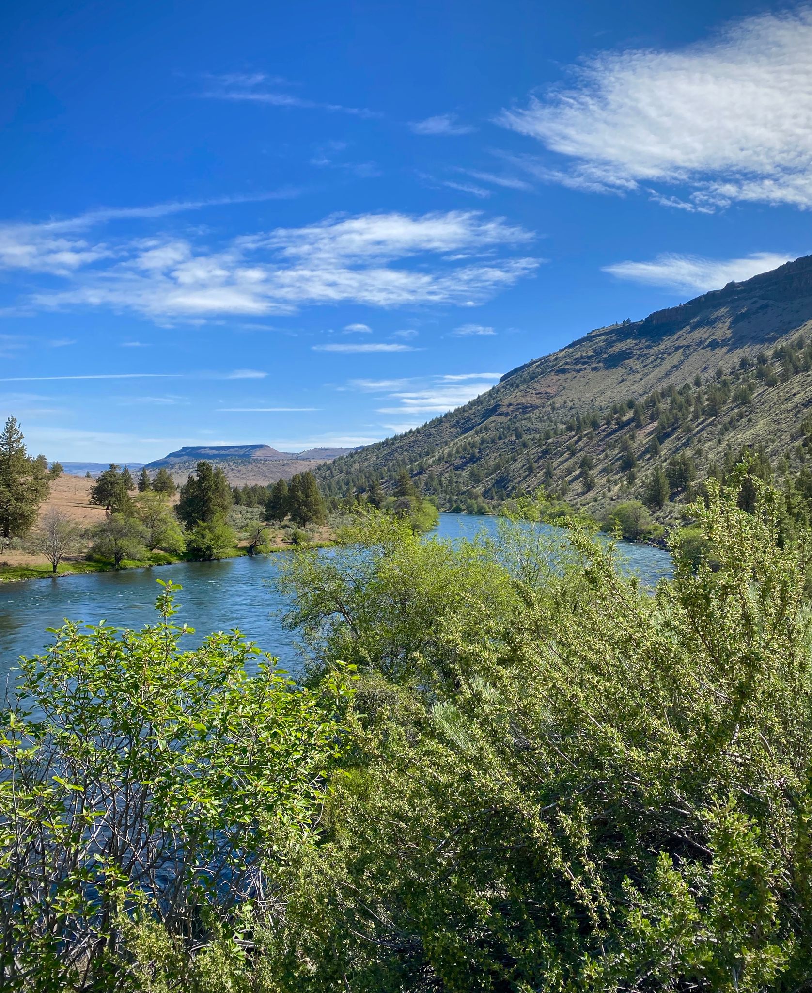 A winding river flows through a green valley under a bright blue sky. - Sisters to Smith Rock Scenic Bikeway Loop
