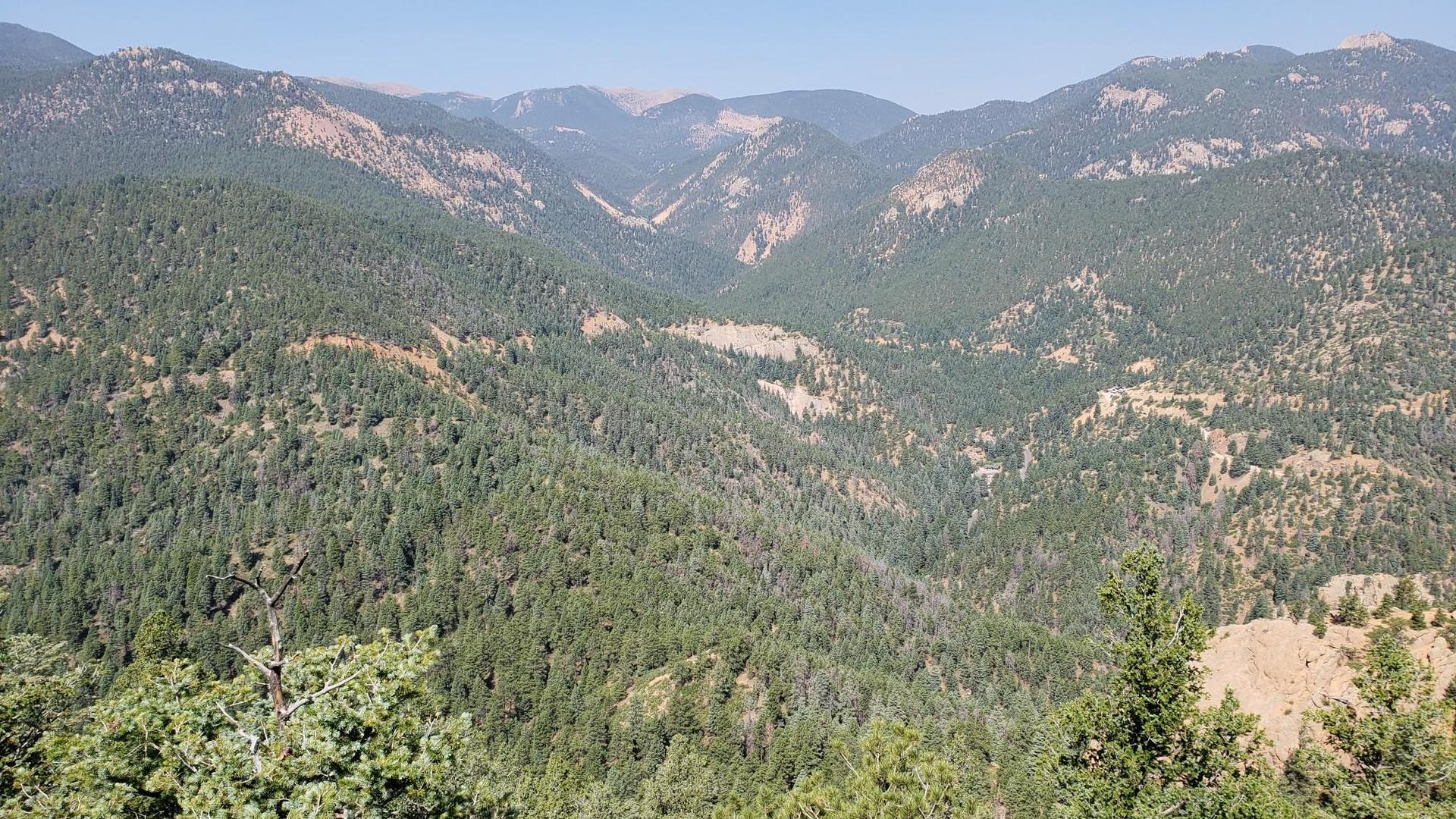 Expansive view of a vast, green forested mountain range under a clear sky.