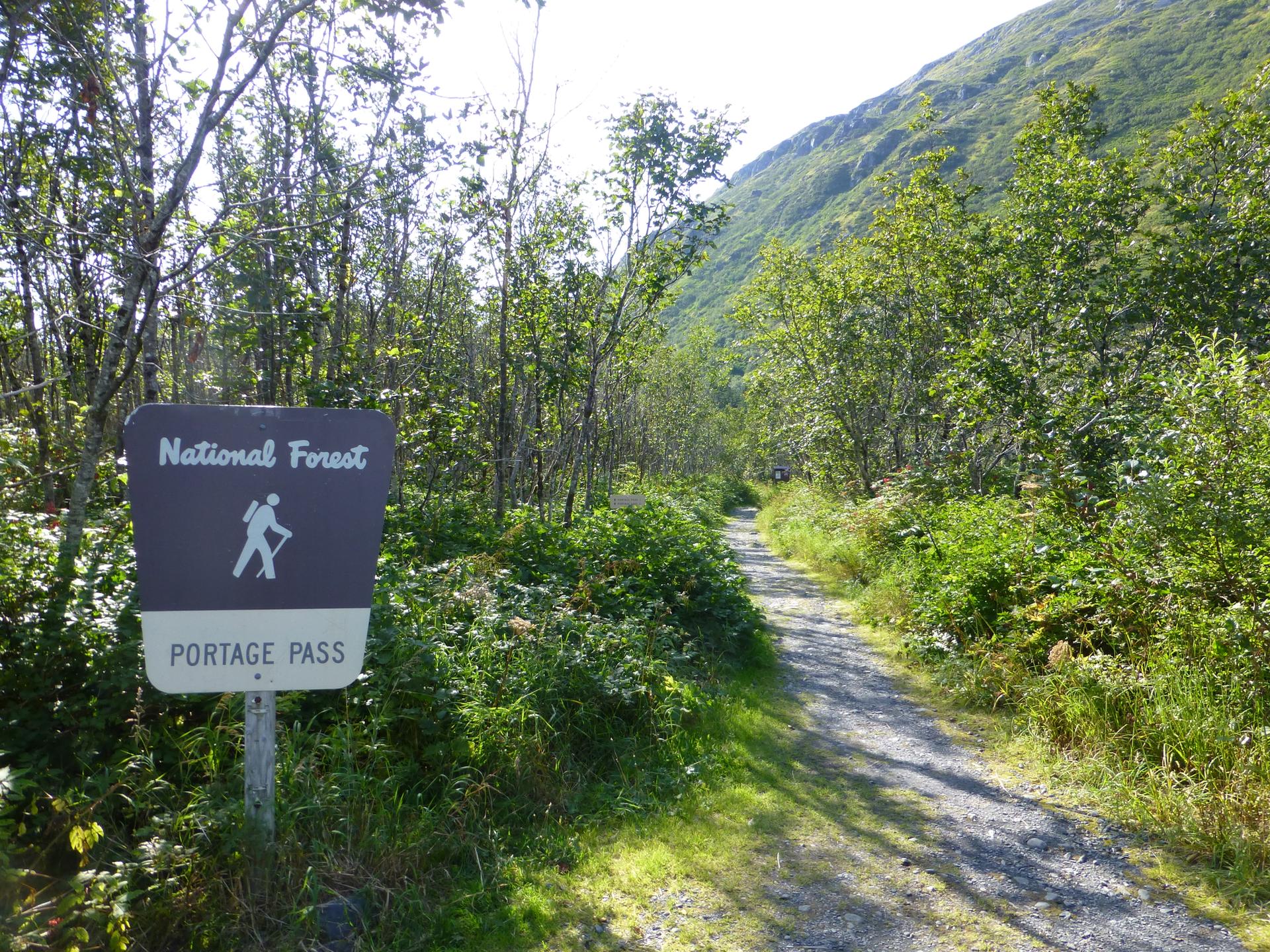 A trail sign stands beside a gravel path winding through a lush green forest.