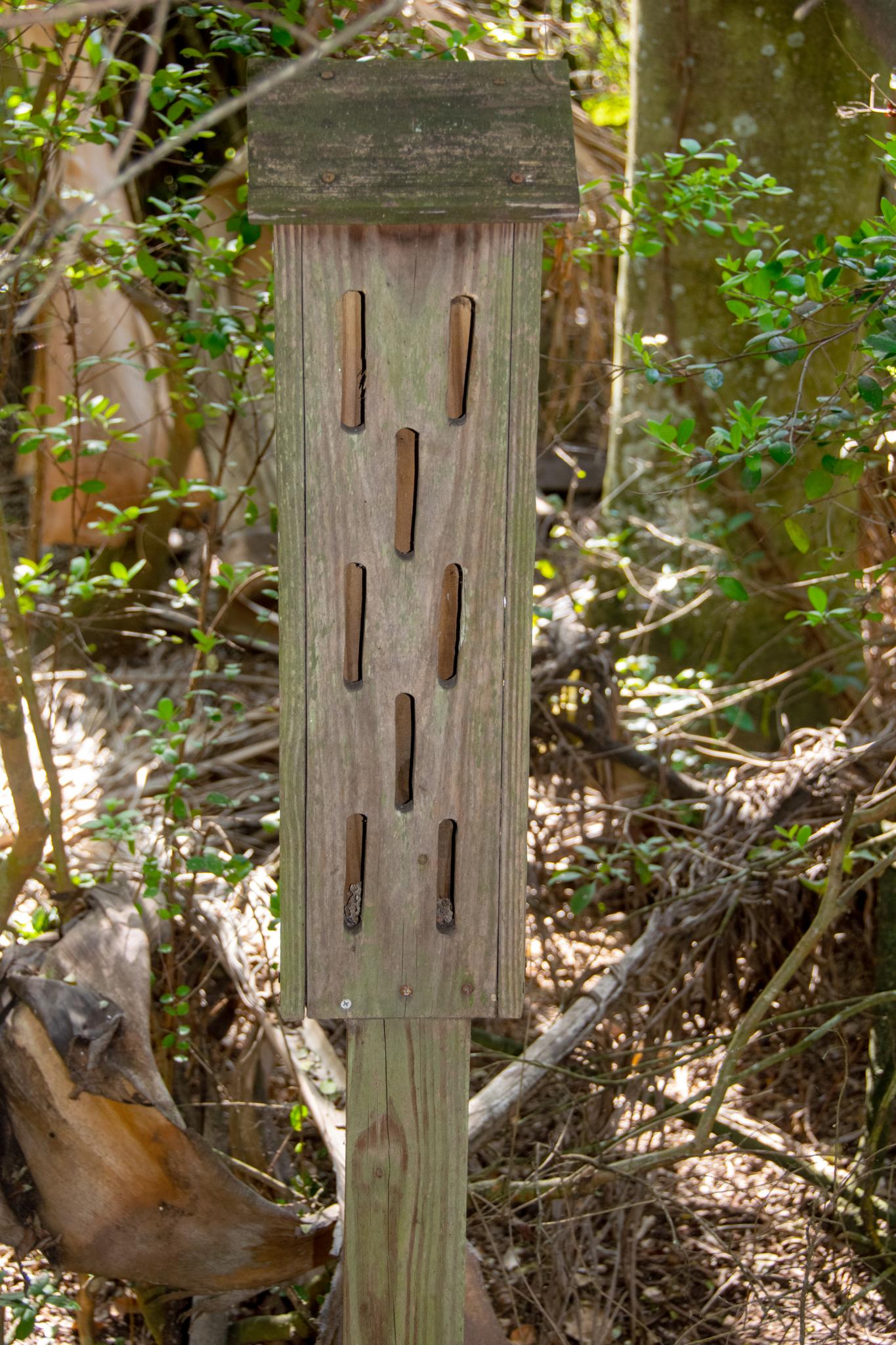 A rustic wooden insect house stands in a sun-dappled forest.