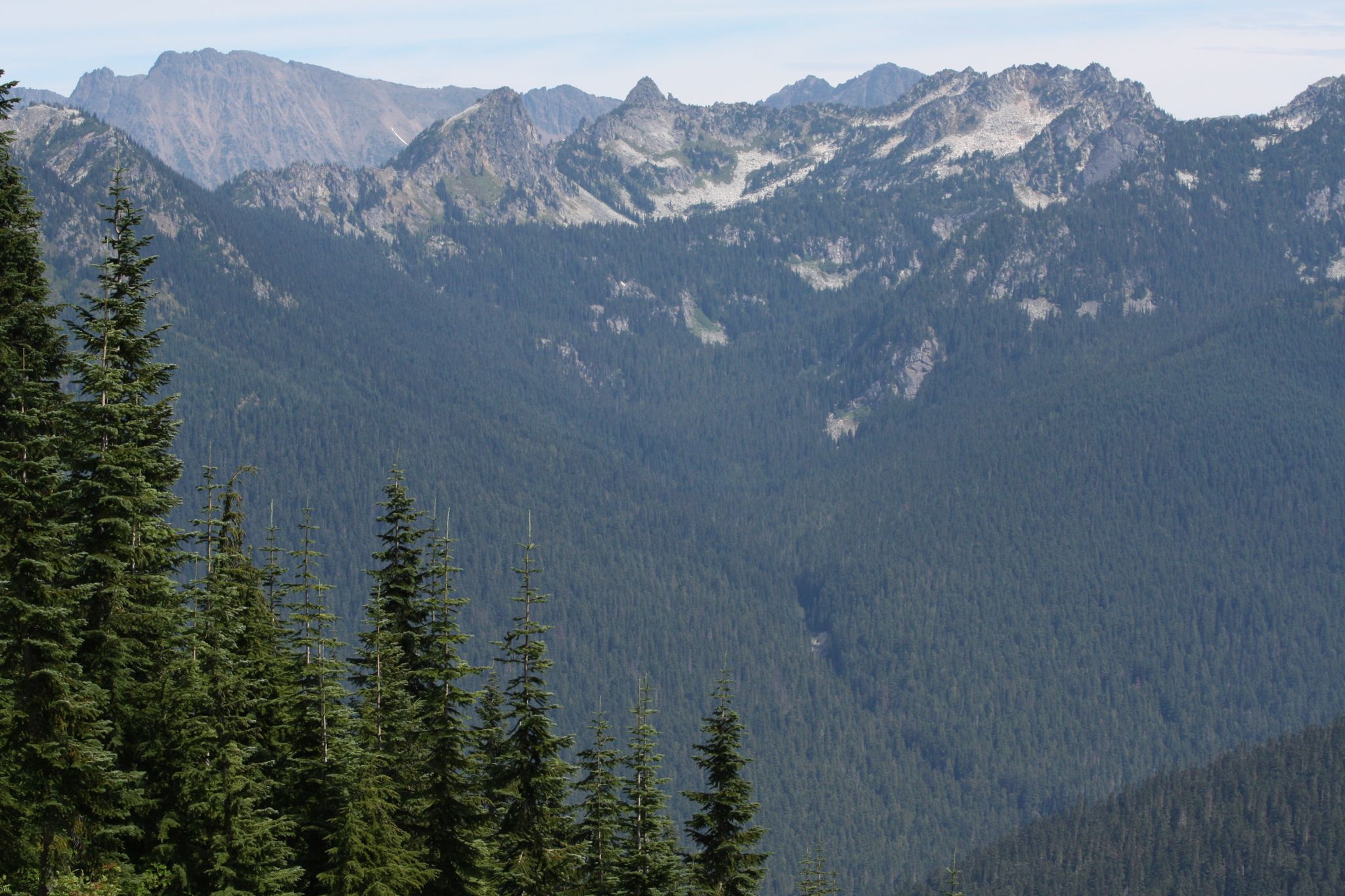 Expansive view of a dense evergreen forest covering rugged mountains under clear skies. - Lake Clarice Trail