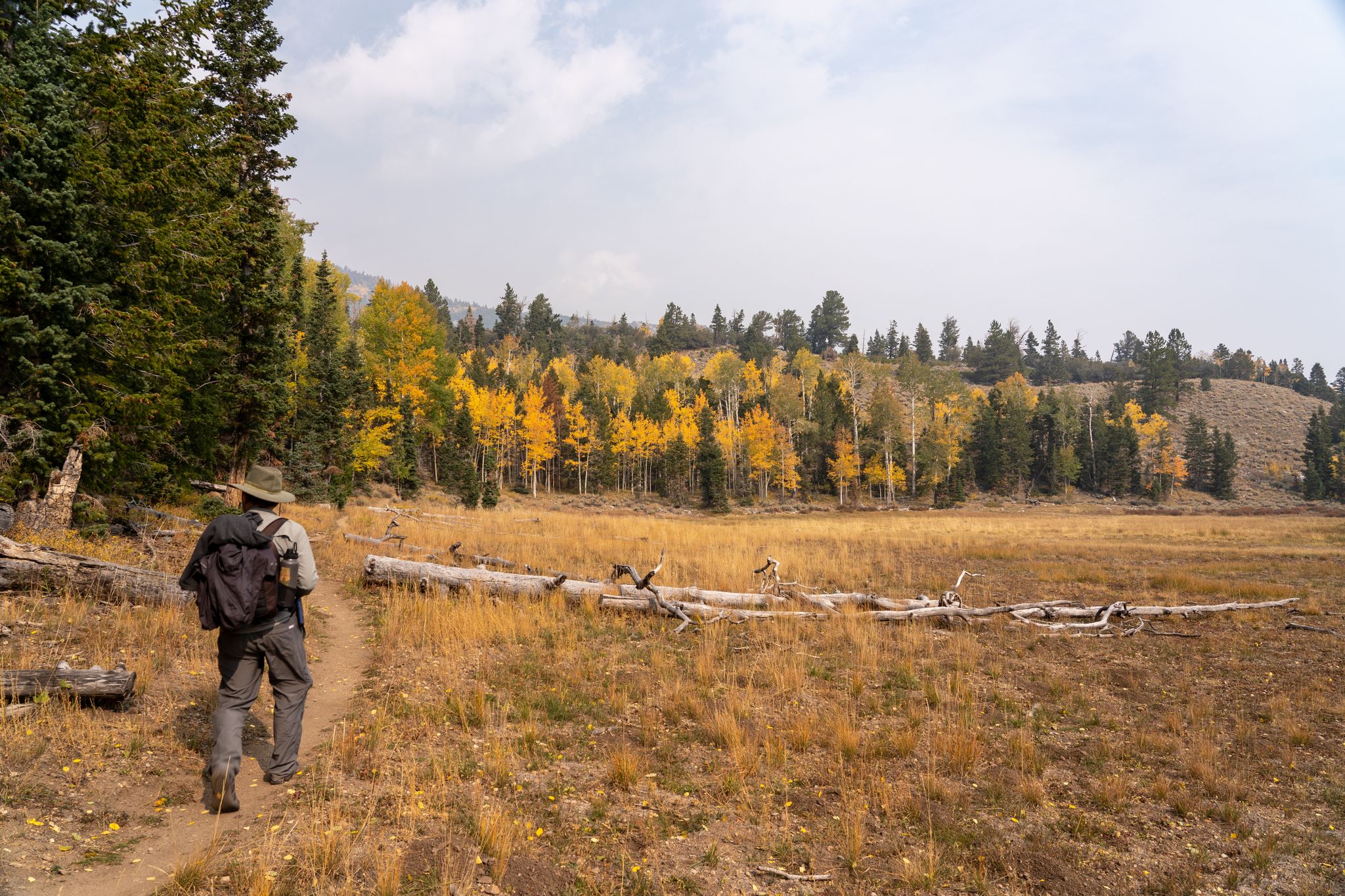 A hiker walks on a dirt path through a field with autumn trees. - Baker Creek Loop